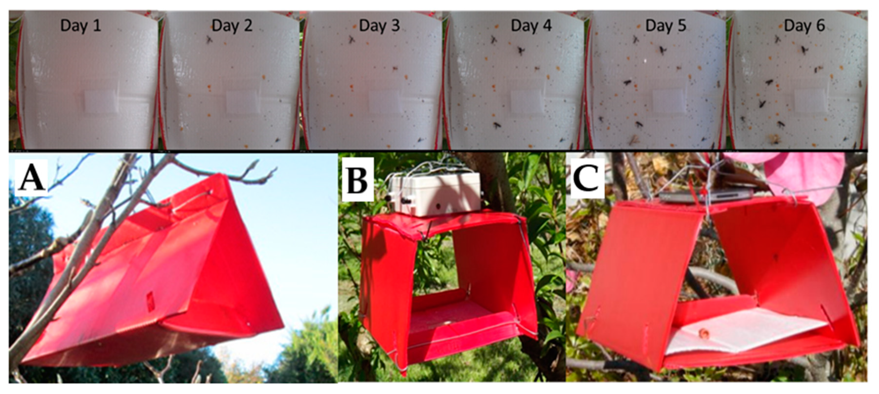 Gypsy Moth Traps - CLARE CONSERVATION DISTRICT