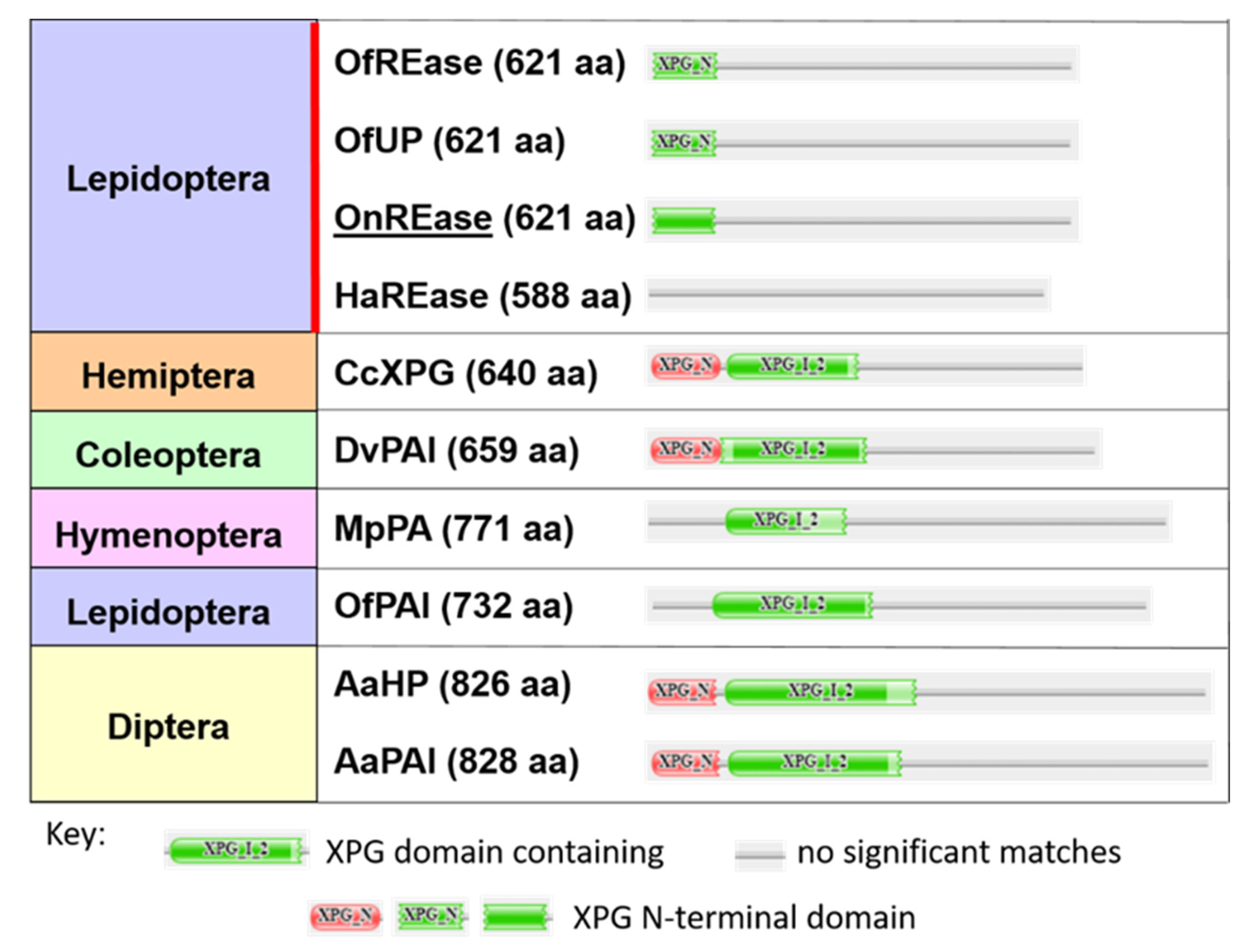 Insects 11 00652 g002