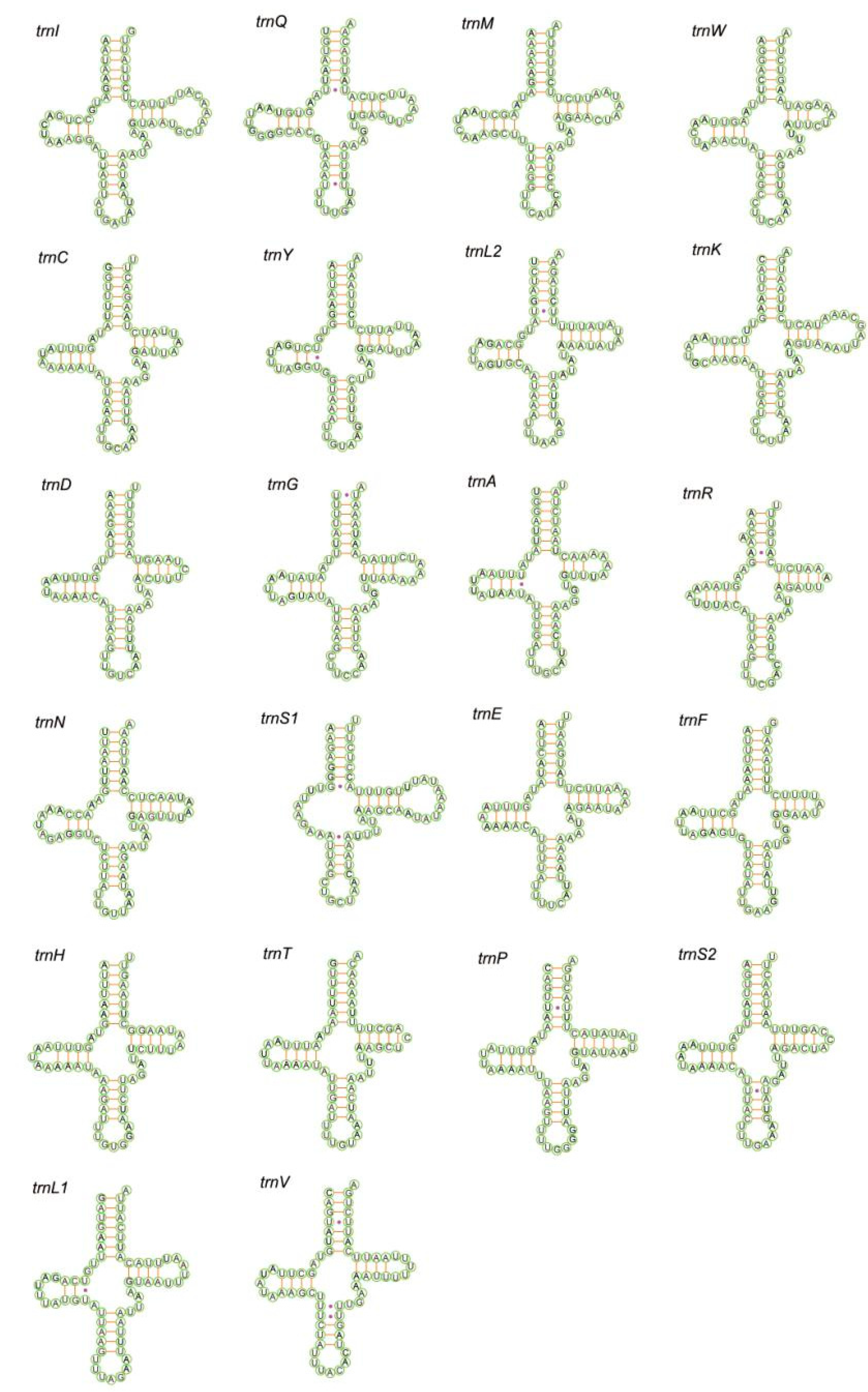 Insects 11 00684 g005 Insects 11 00684 g005