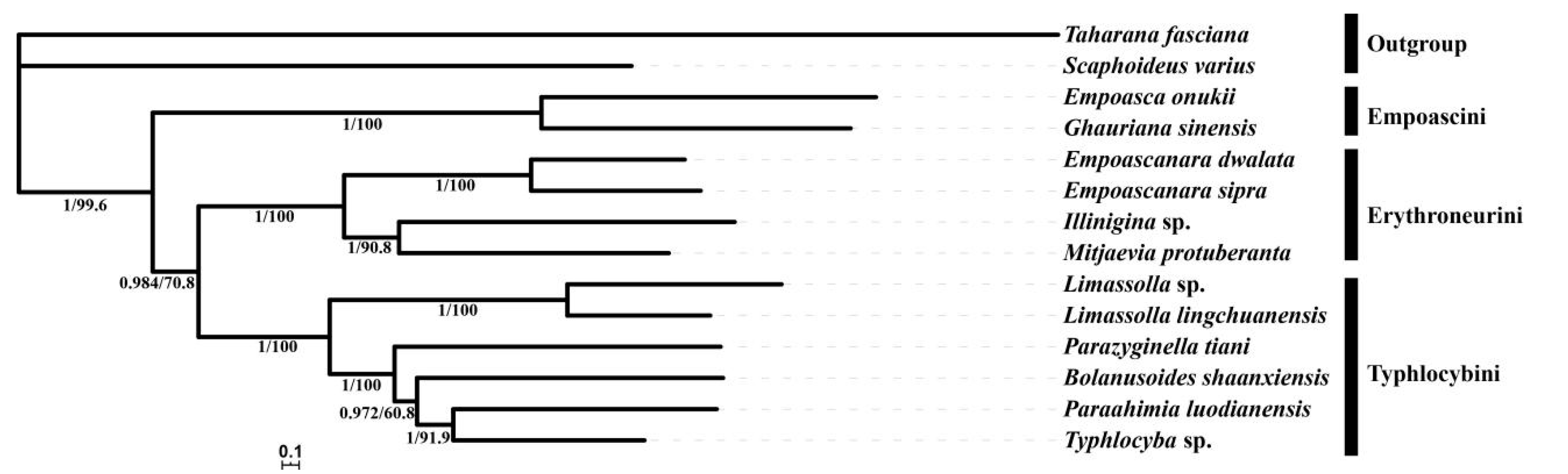Insects 11 00684 g008 Insects 11 00684 g008