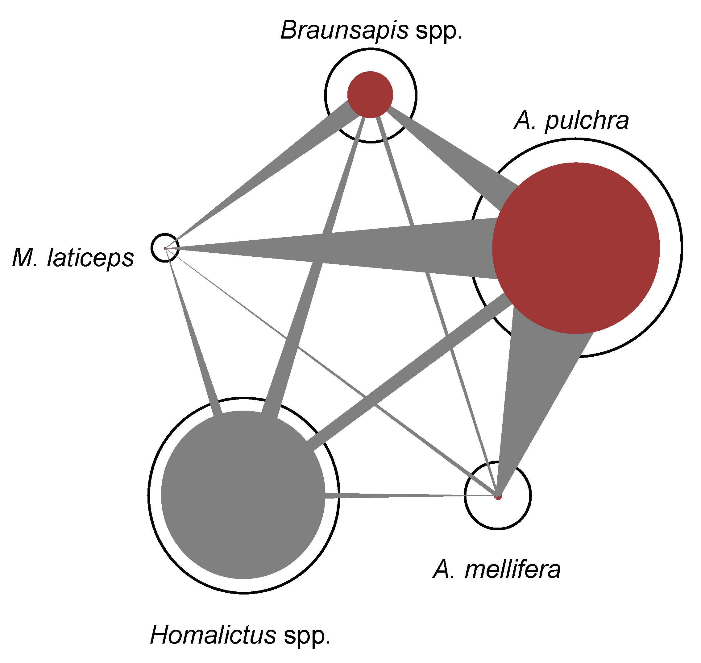 Insects 11 00773 g004 Insects 11 00773 g004
