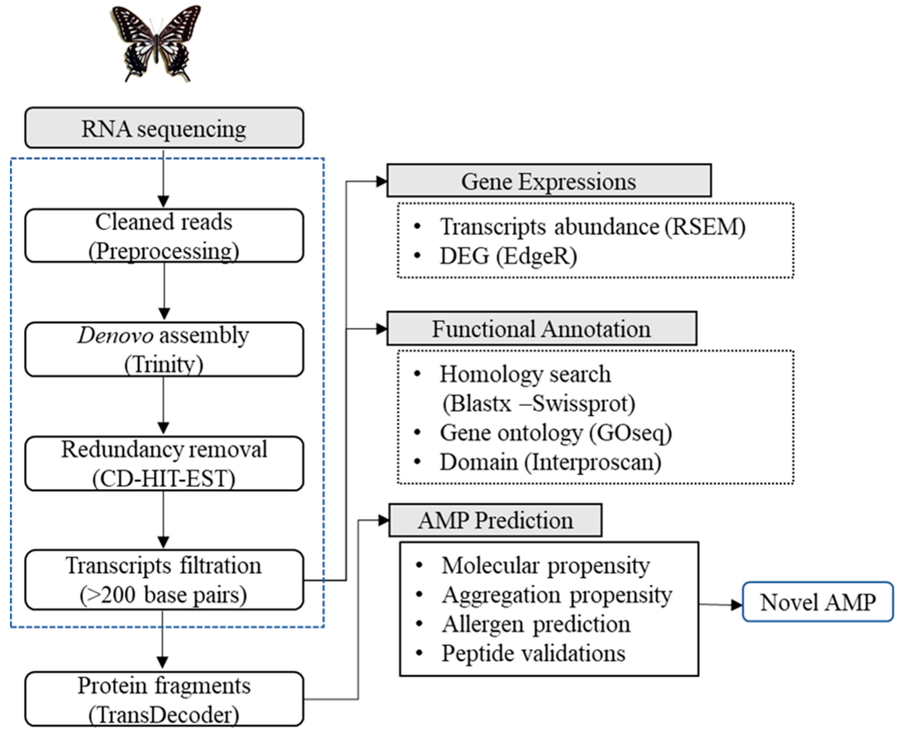 Insects 11 00776 g001
