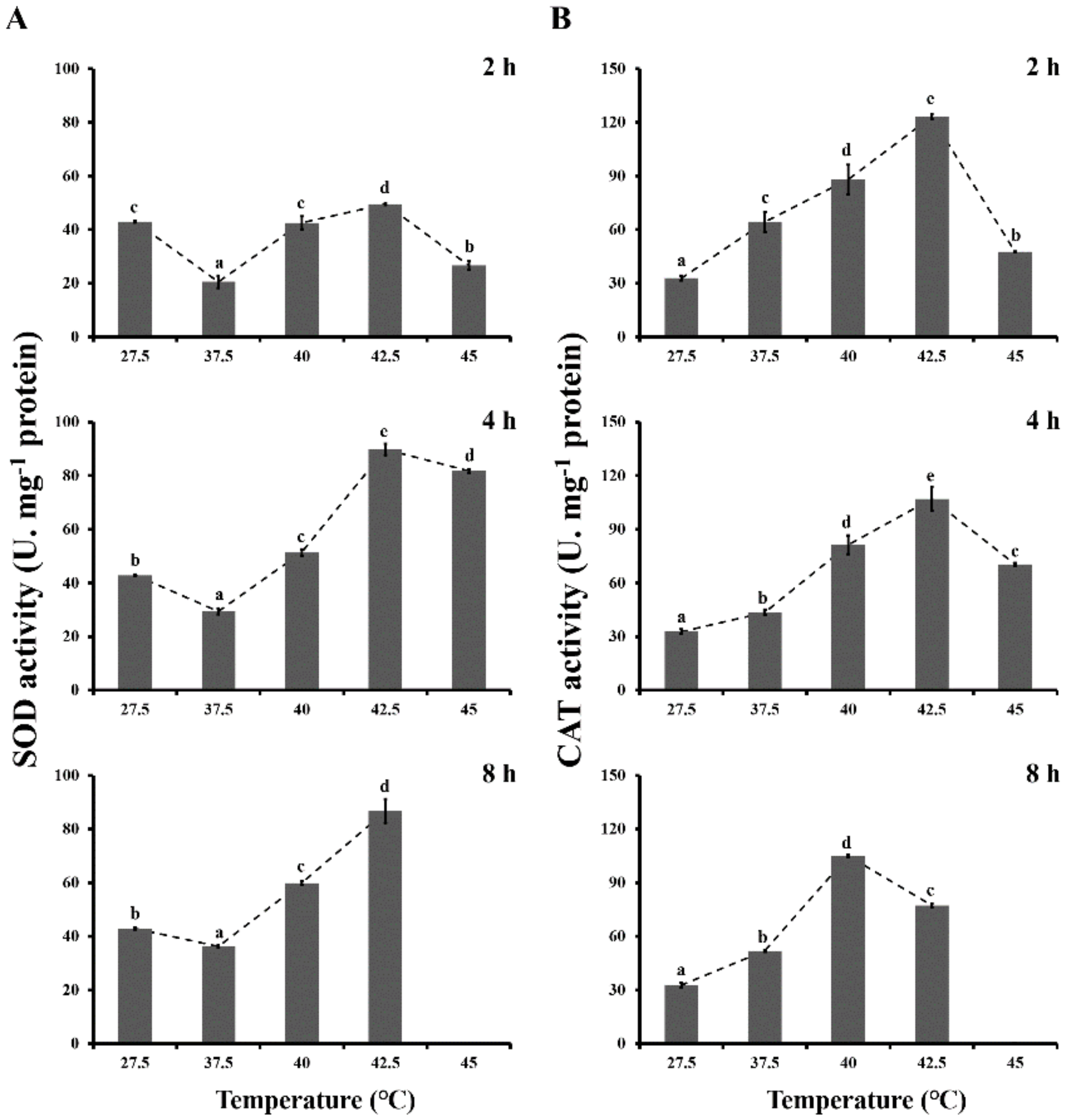 Insects 11 00839 g001