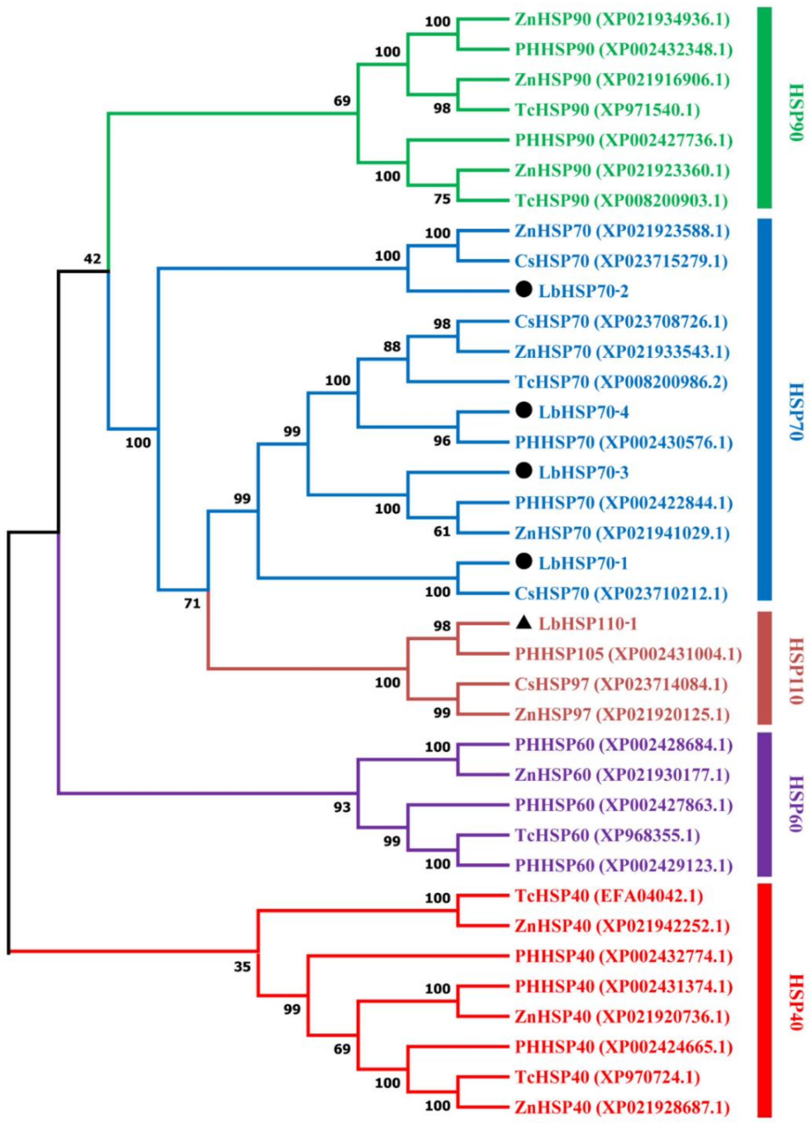 Insects 11 00839 g003