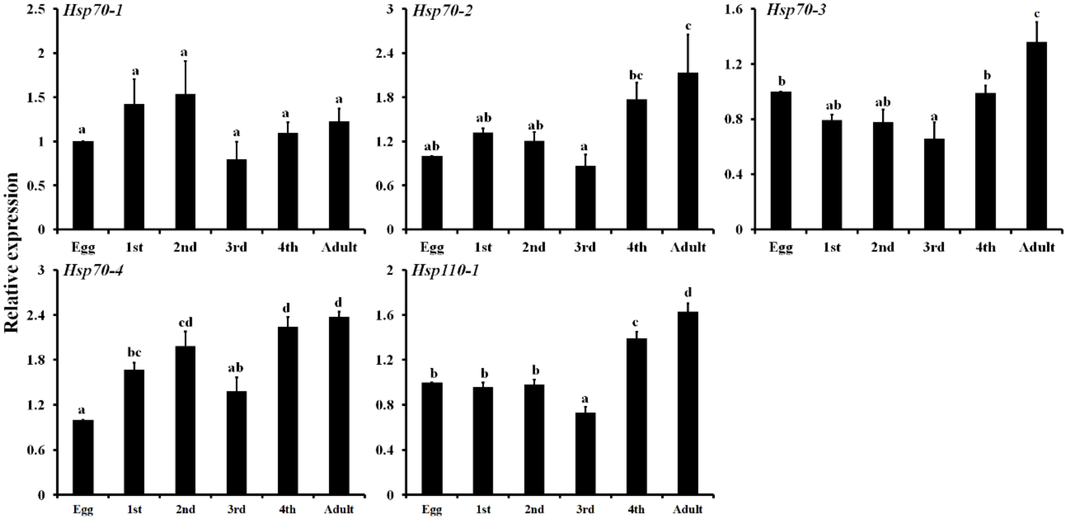 Insects 11 00839 g004