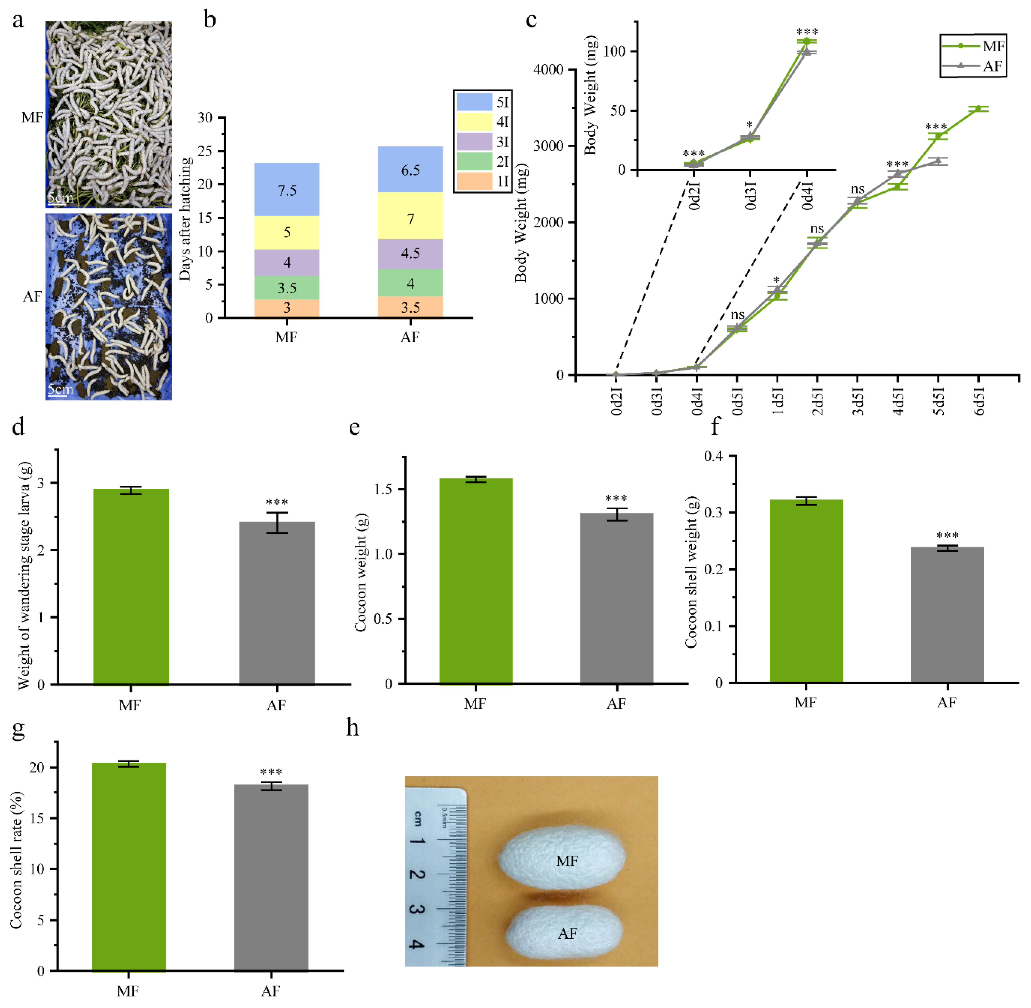 Insects Free Full Text Comparative Fecal Metabolomes of