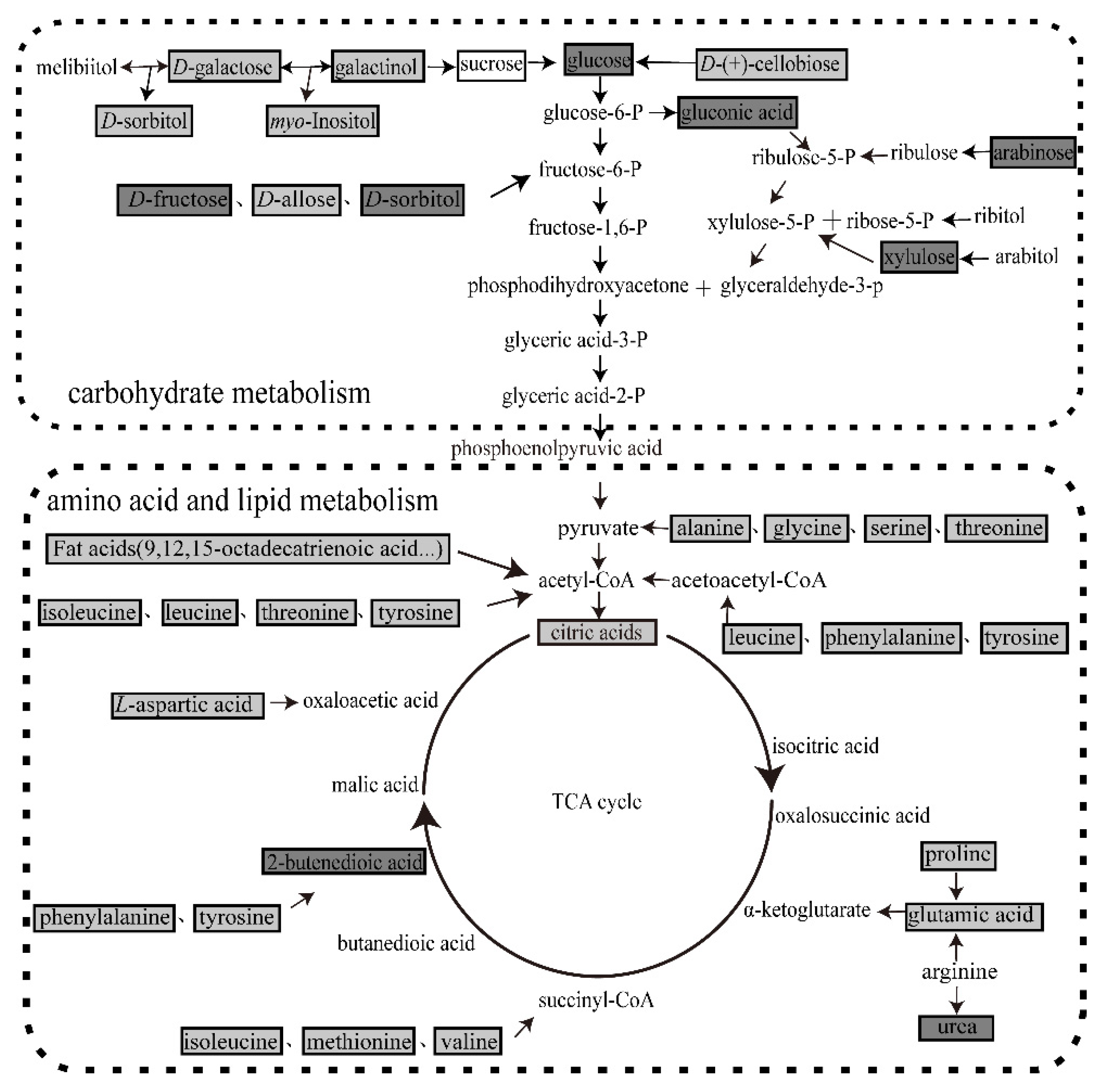 Insects 11 00851 g005 Insects 11 00851 g005