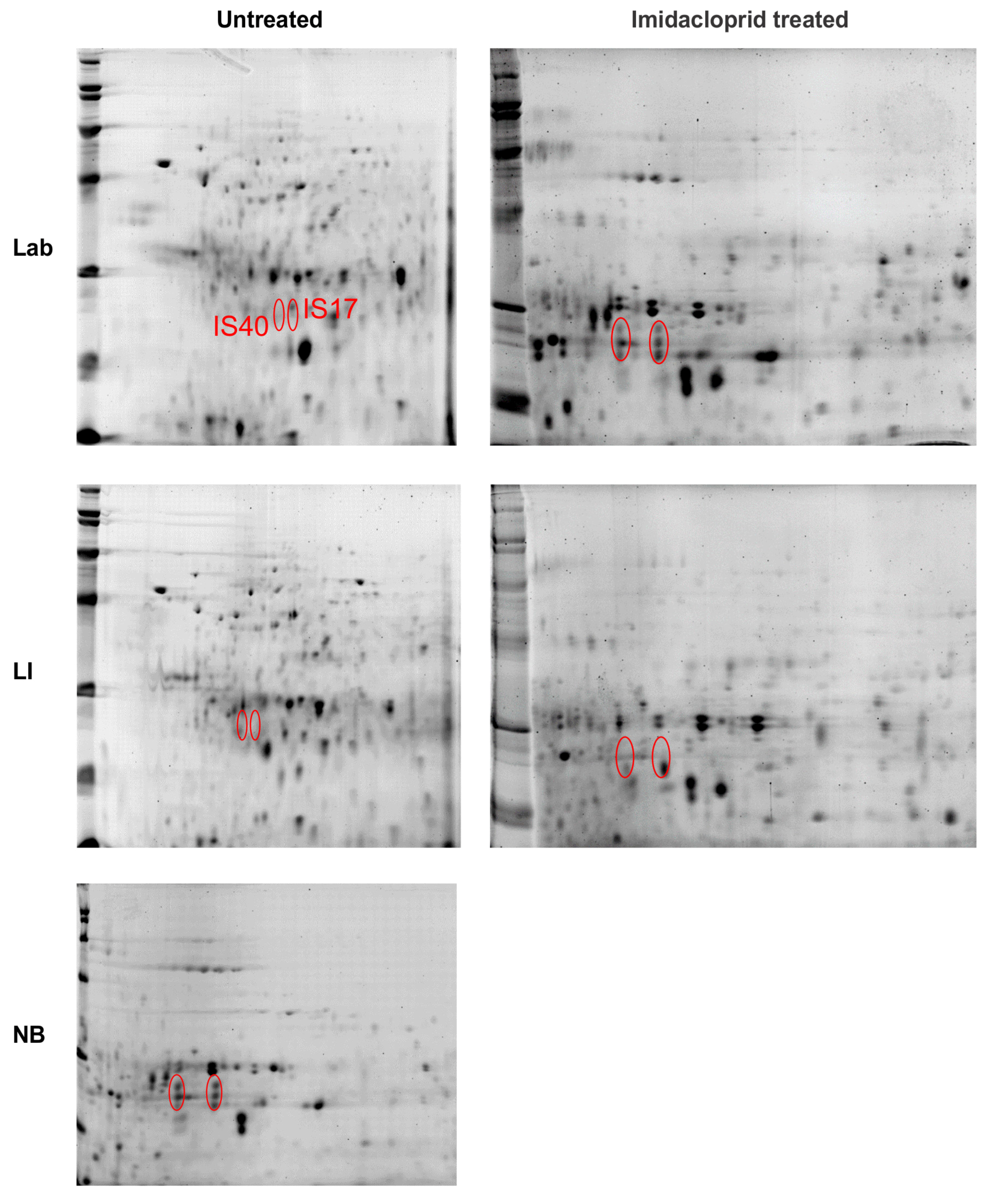 Insects 12 00003 g005