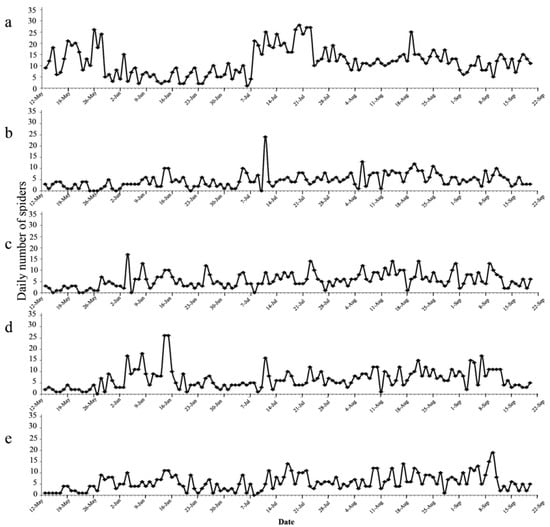 Molecular identification of spiders preying on Empoasca vitis in a tea  plantation