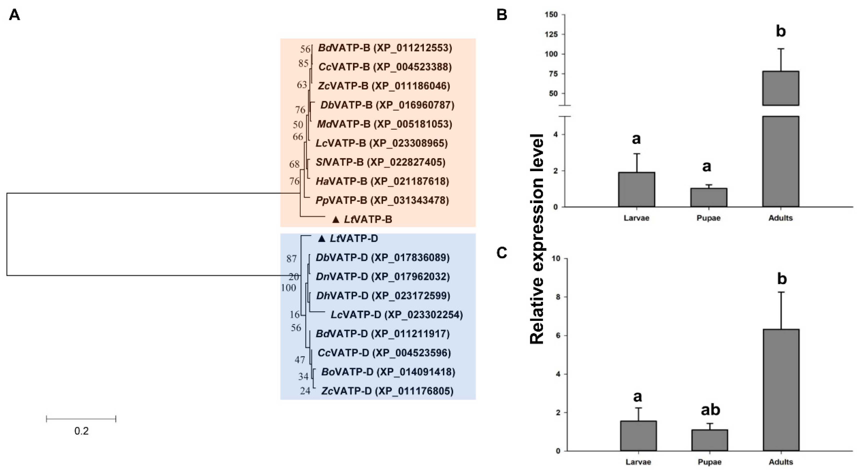 Insects 12 00041 g002 Insects 12 00041 g002