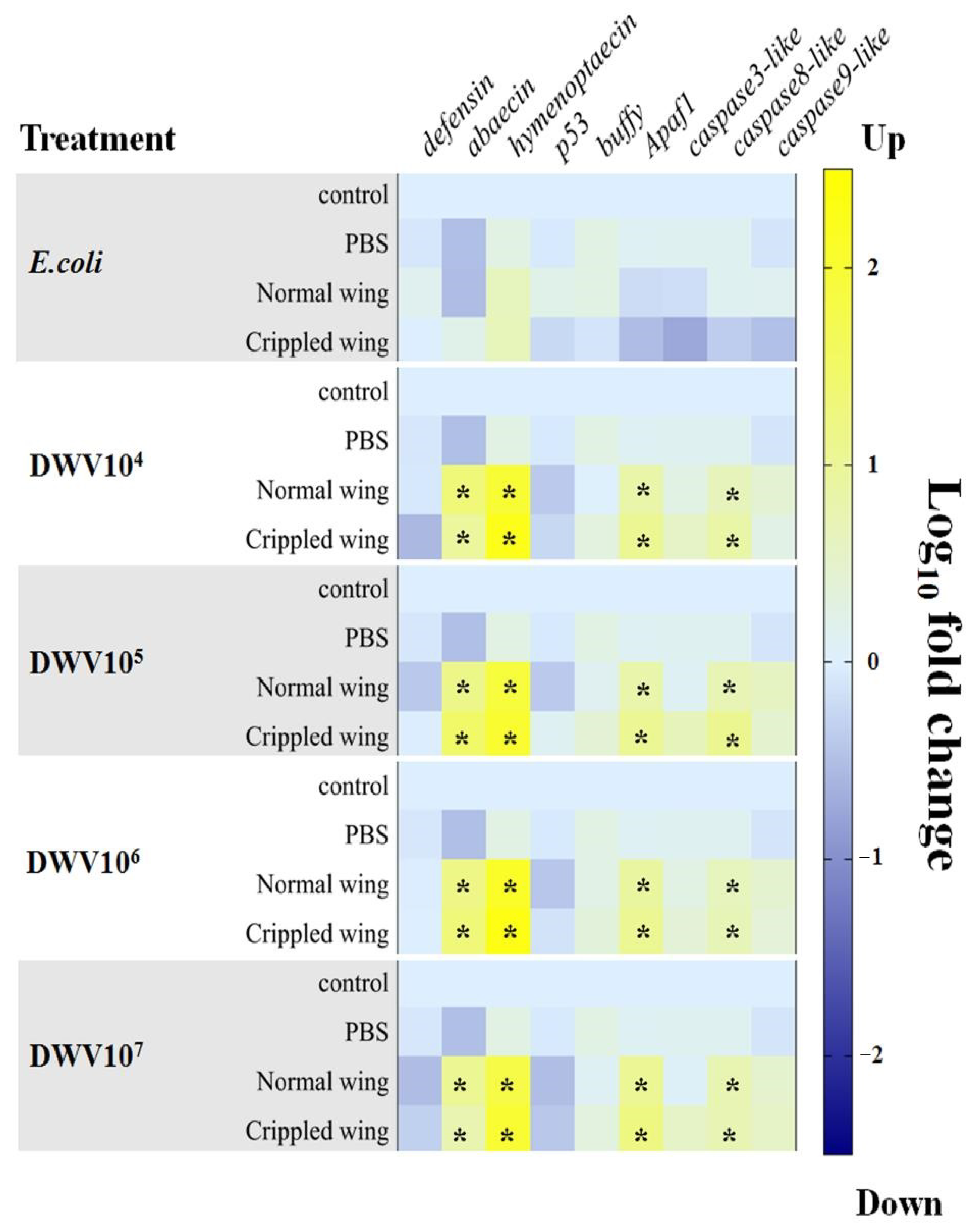 Insects 12 00082 g003 Insects 12 00082 g003