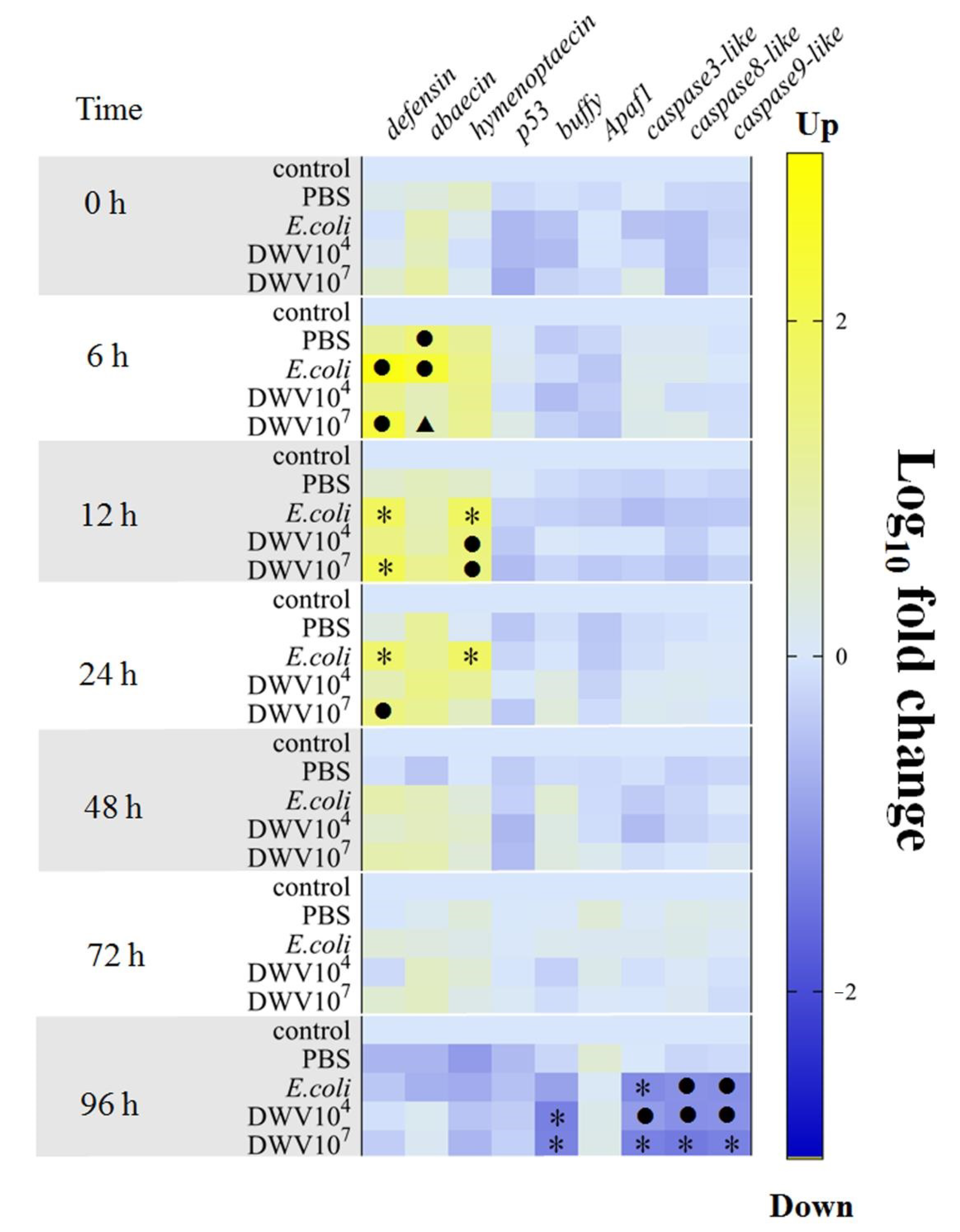 Insects 12 00082 g005 Insects 12 00082 g005