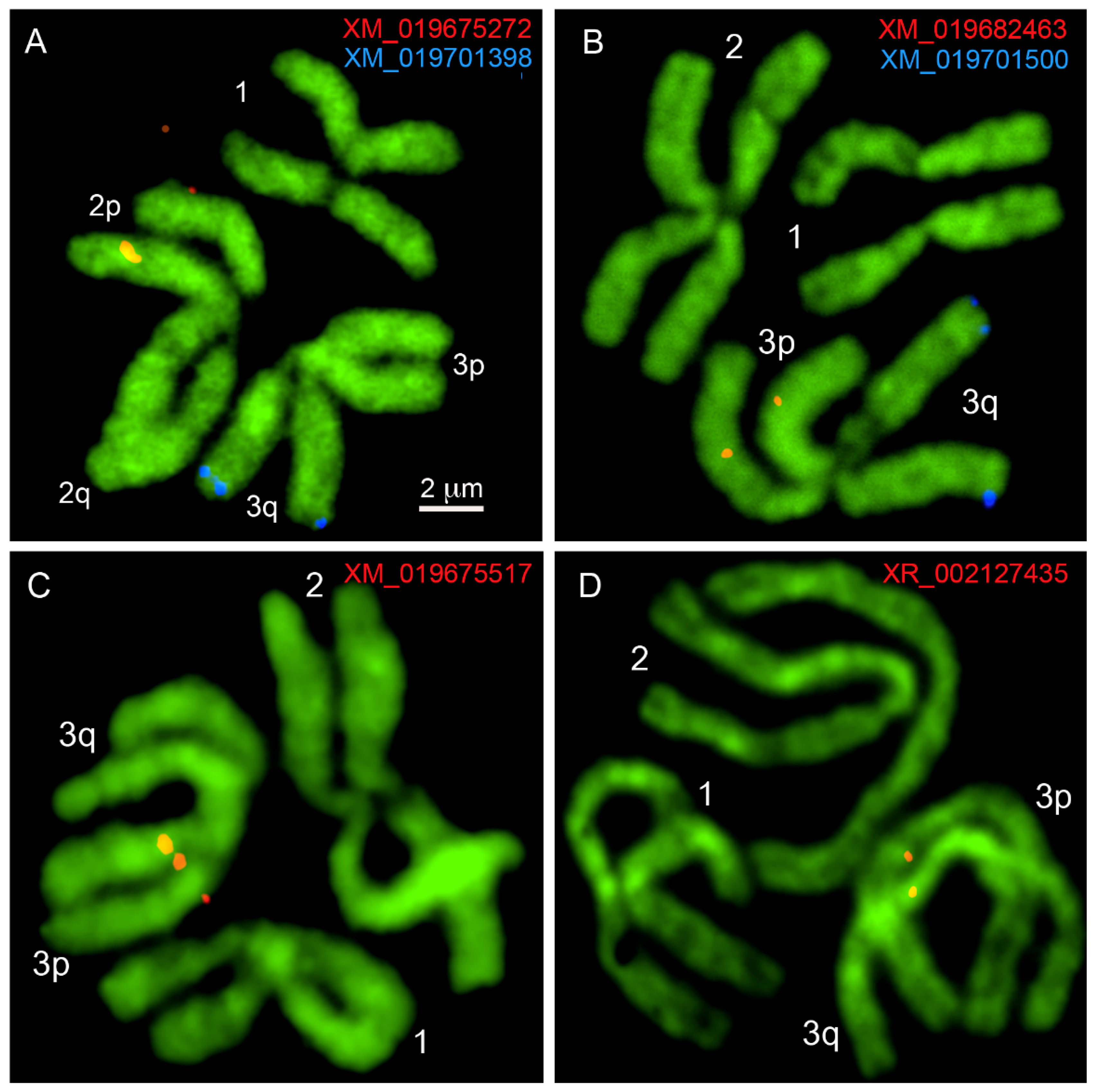 Insects 12 00138 g002 Insects 12 00138 g002