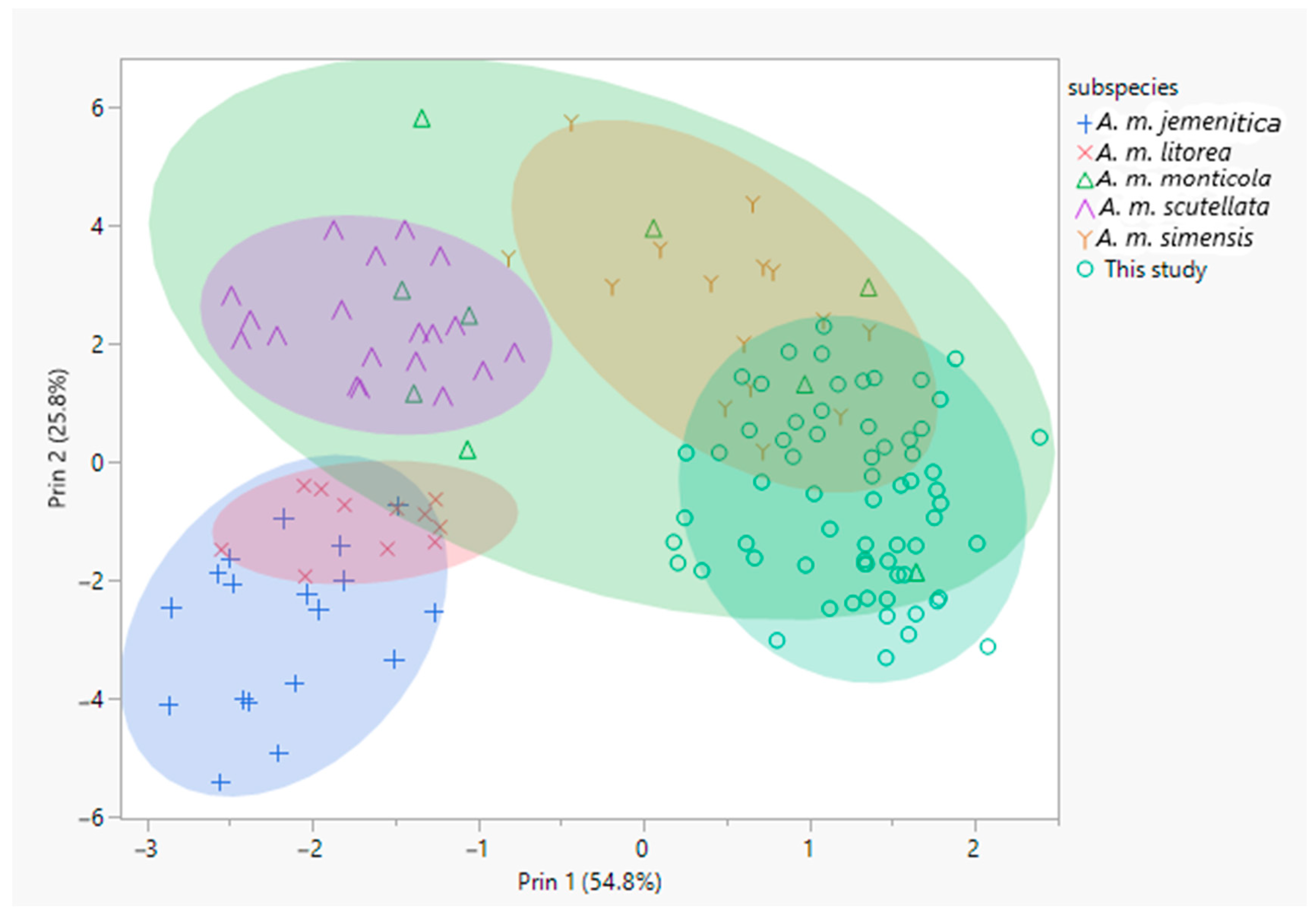 Insects 12 00193 g001 Insects 12 00193 g001
