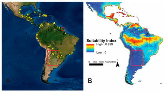 Insects Free Full Text Potential Distribution of Aedes