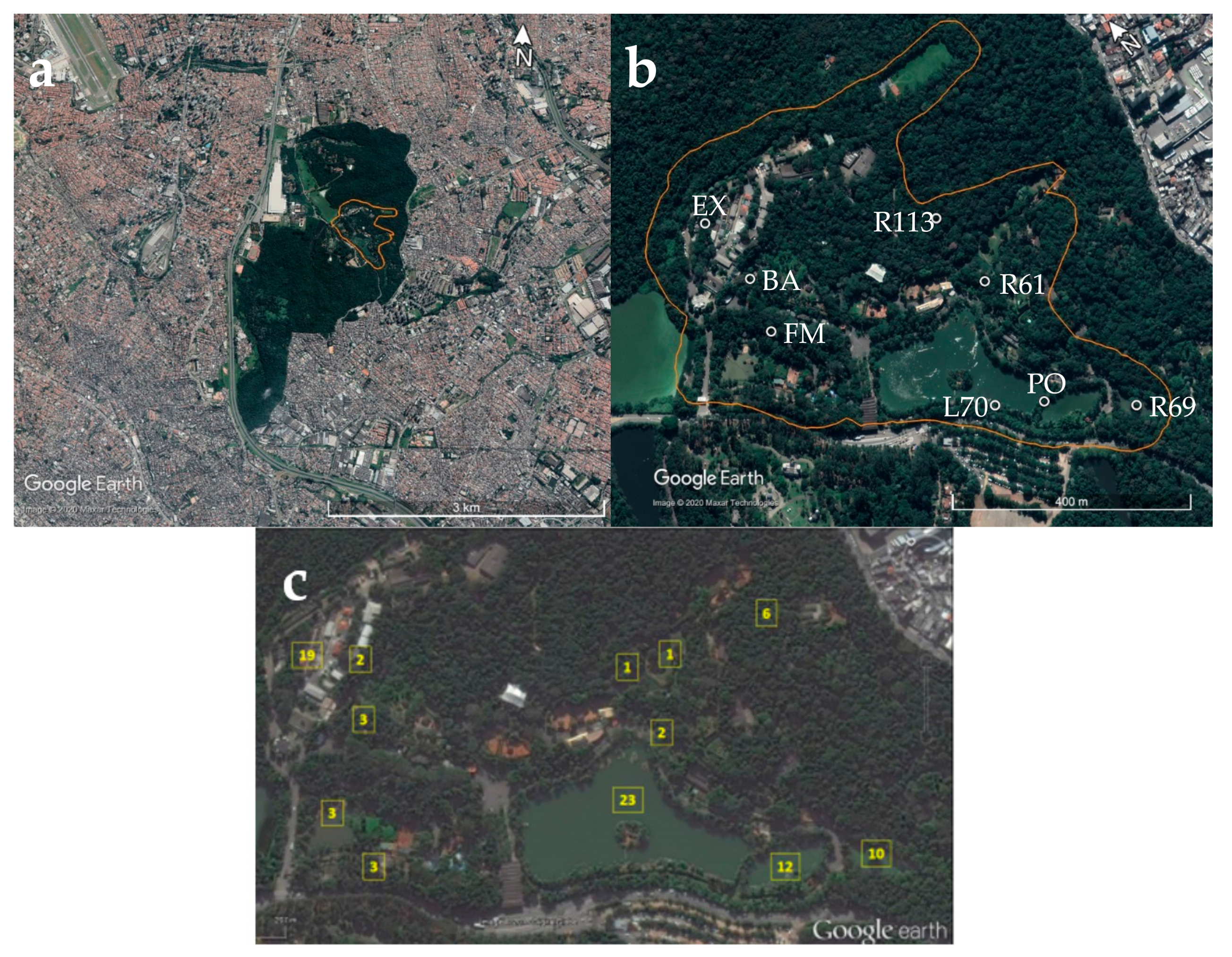 Insects | Free Full-Text | Assessing Diversity, Plasmodium Infection and  Blood Meal Sources in Mosquitoes (Diptera: Culicidae) from a Brazilian  Zoological Park with Avian Malaria Transmission | HTML