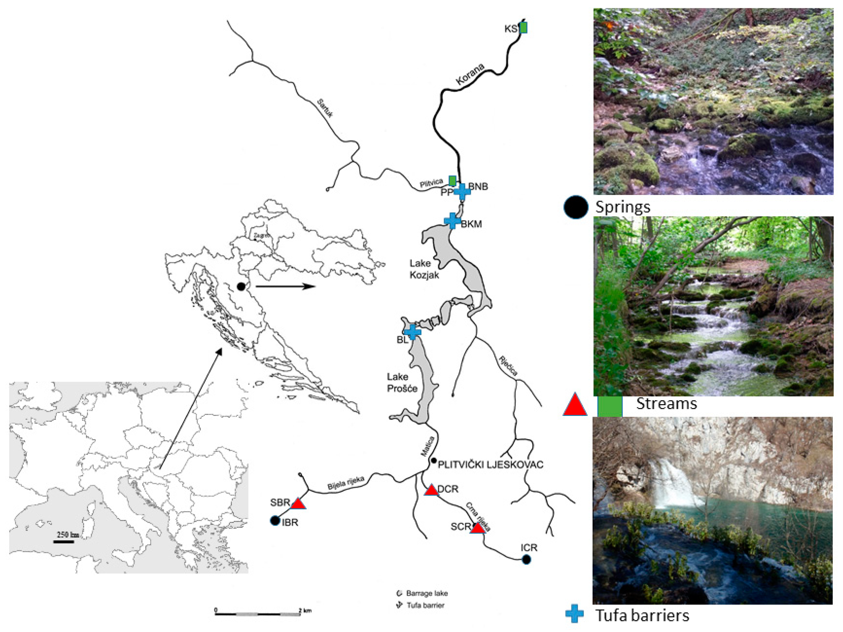 Insects | Free Full-Text | Peeling the Layers of Caddisfly Diversity on a  Longitudinal Gradient in Karst Freshwater Habitats Reveals Community  Dynamics and Stability