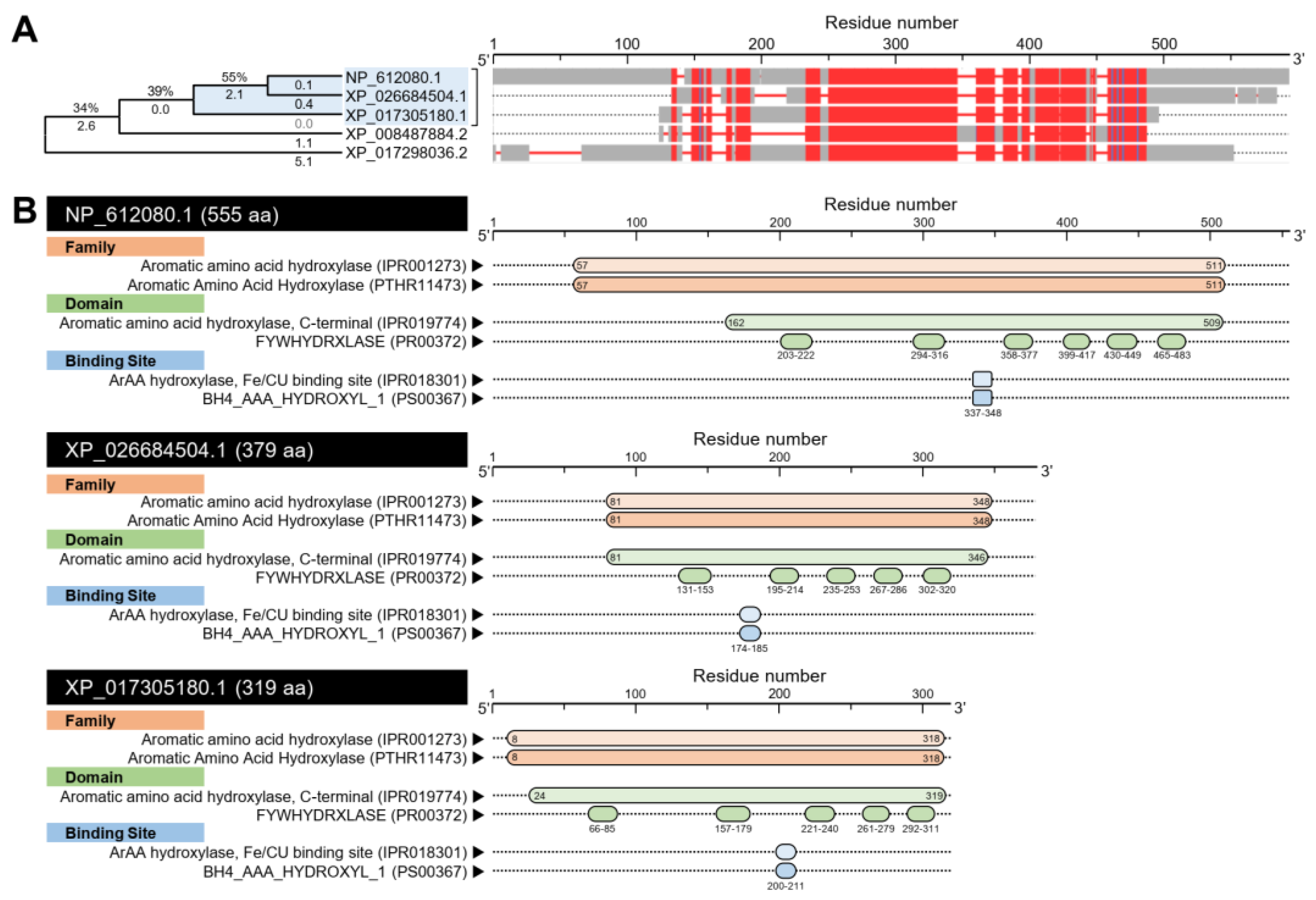 Insects 12 00317 g001