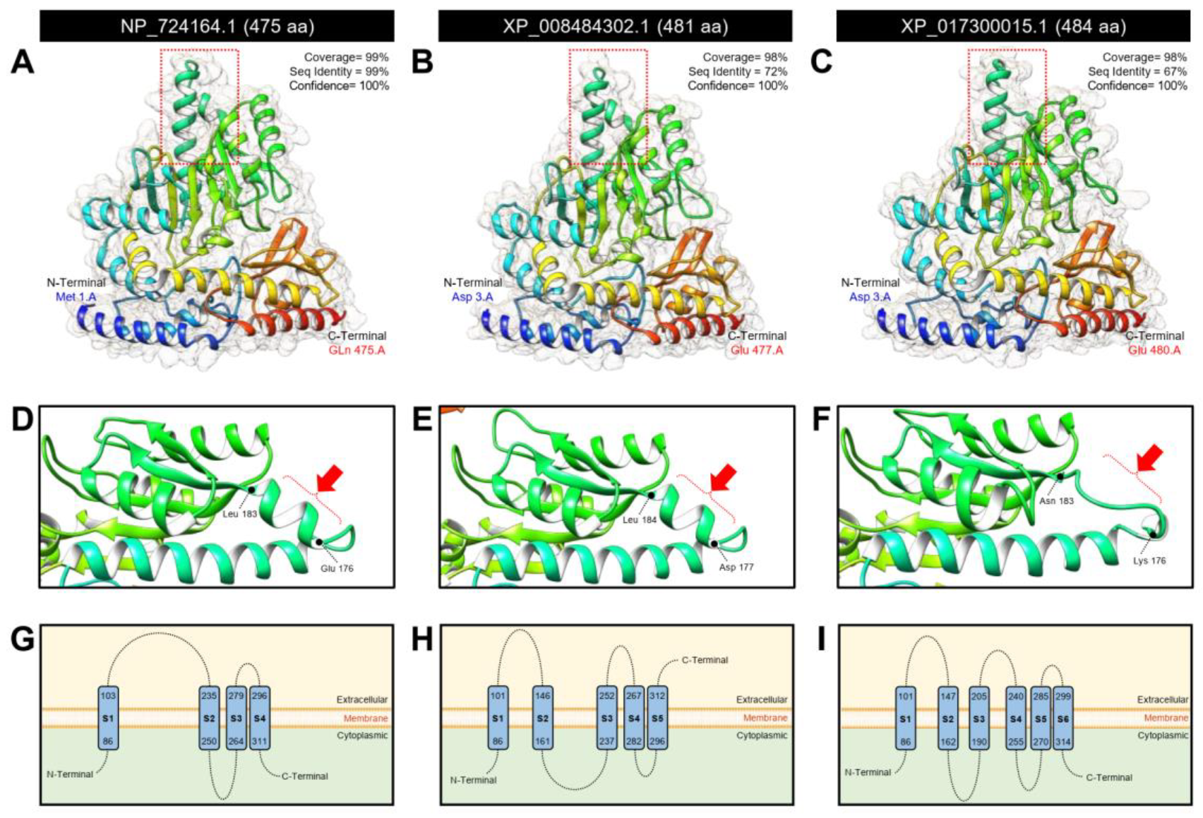 Insects 12 00317 g006