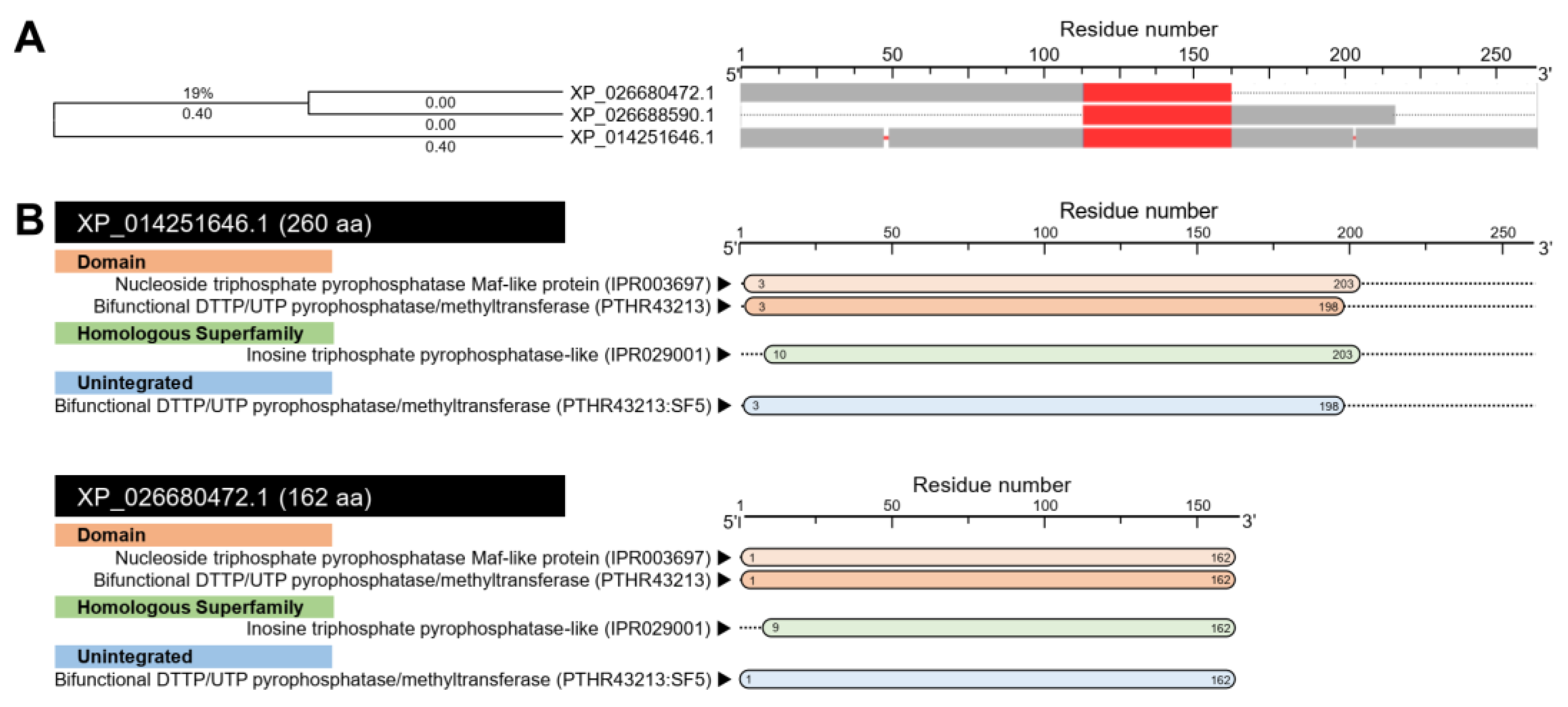Insects 12 00317 g011