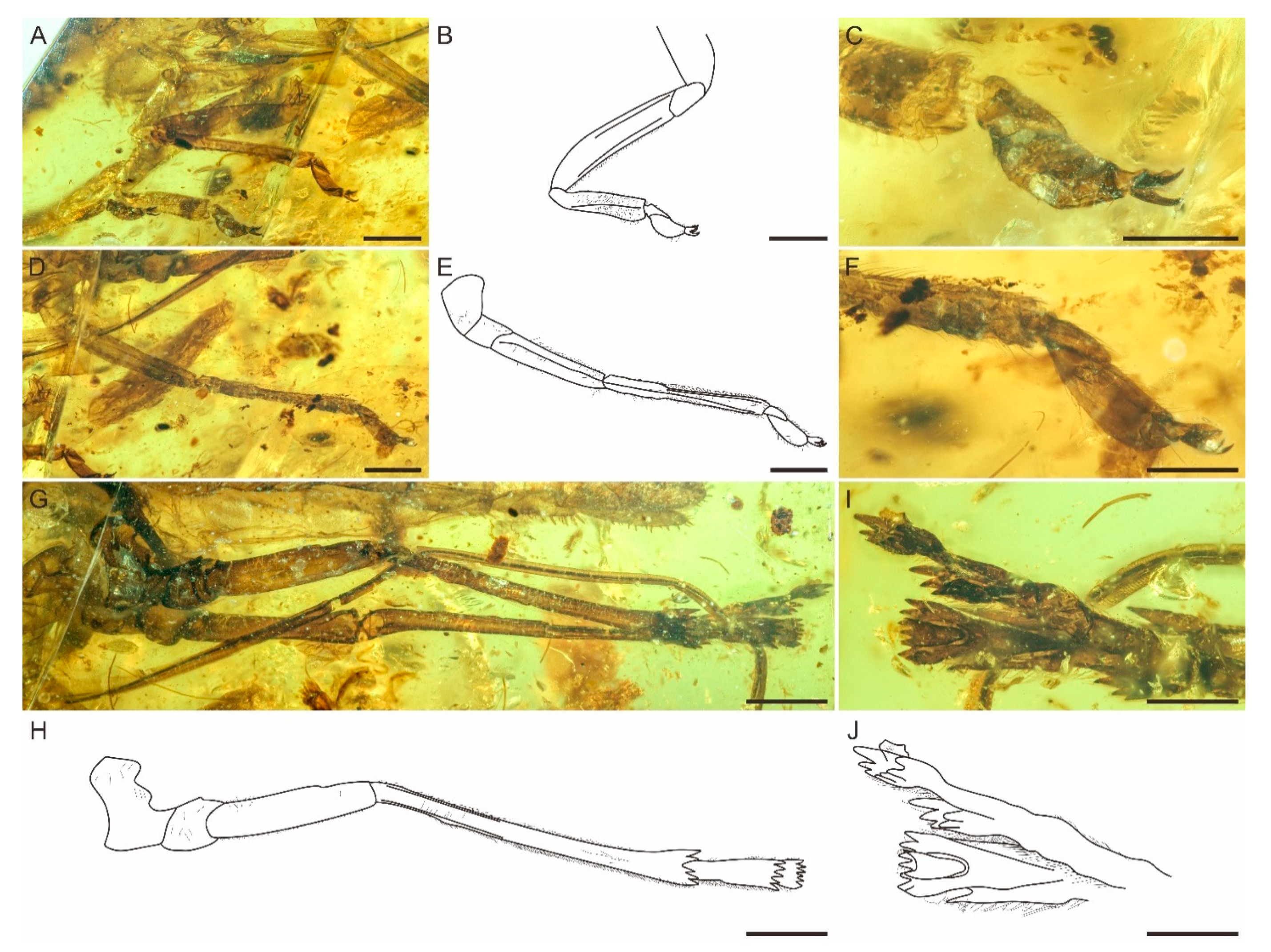 Insects 12 00318 g003 Insects 12 00318 g003