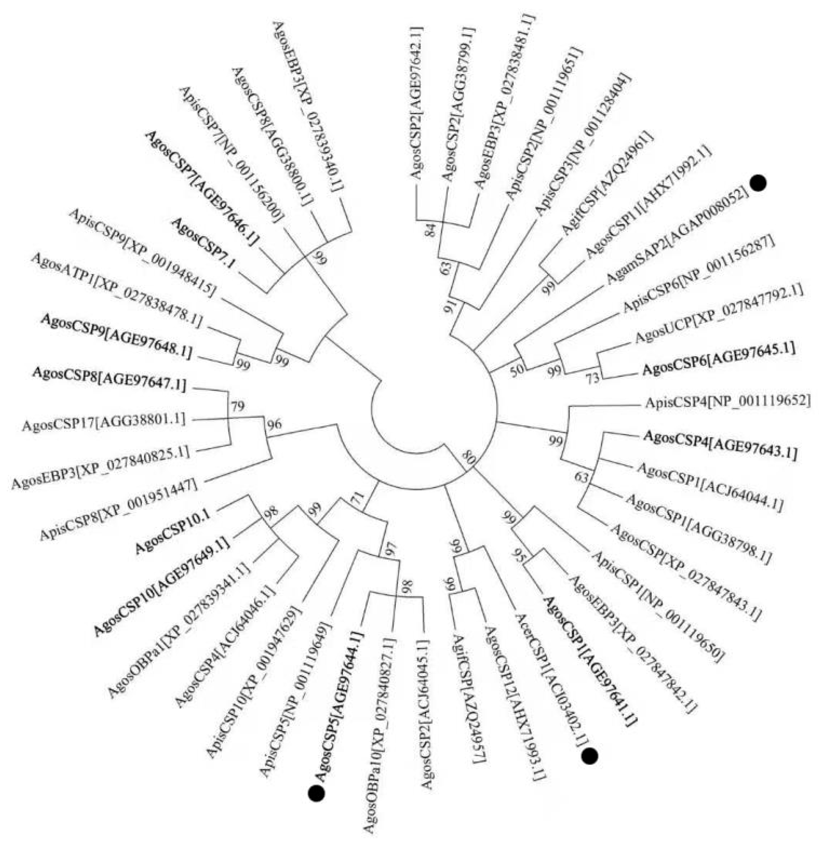Insects 12 00335 g001