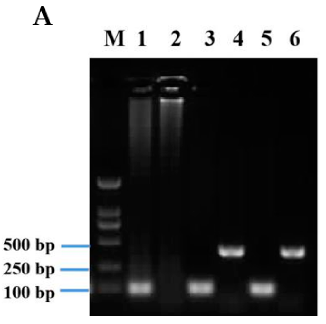 Insects 12 00335 g003a