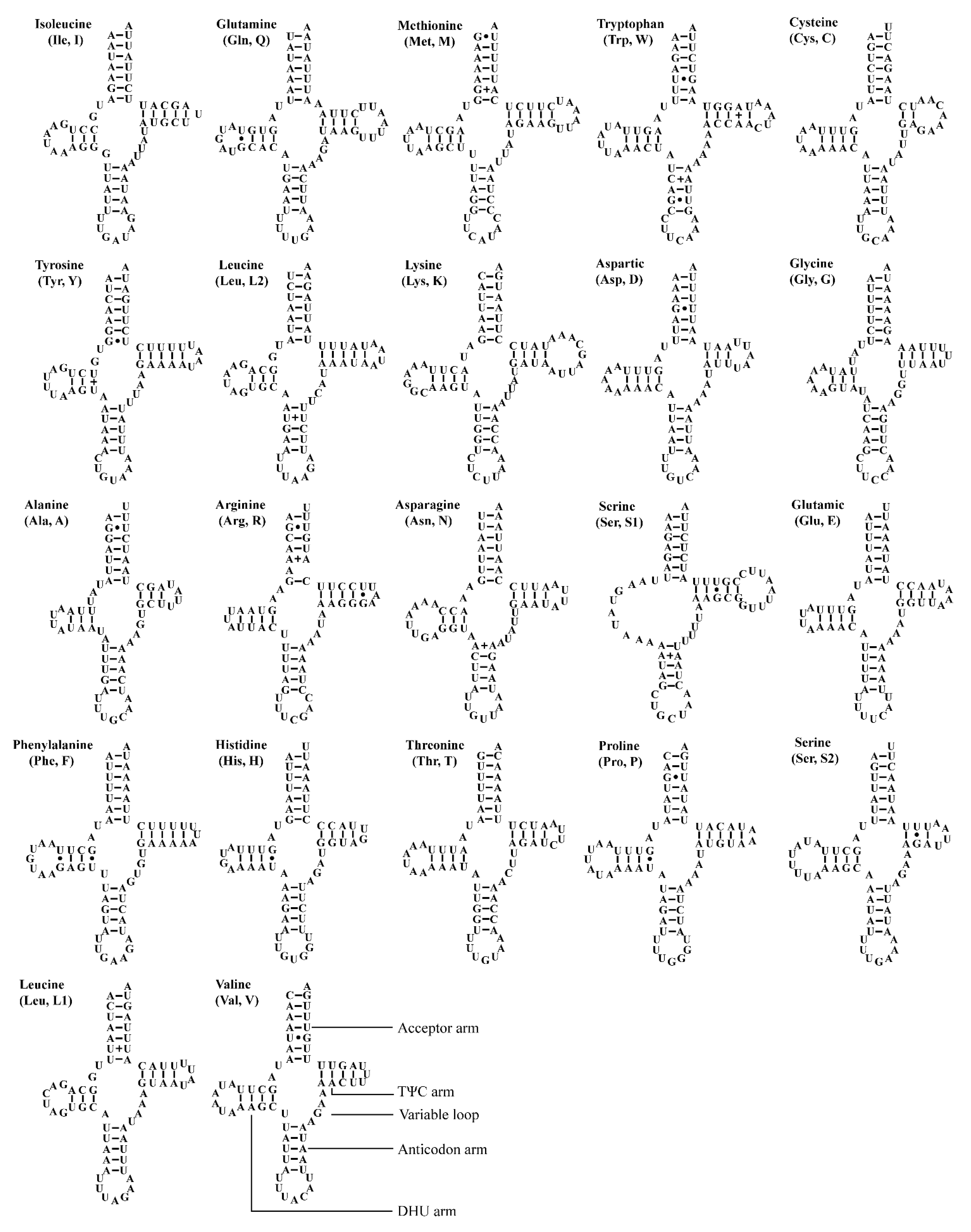 Insects 12 00338 g004 Insects 12 00338 g004