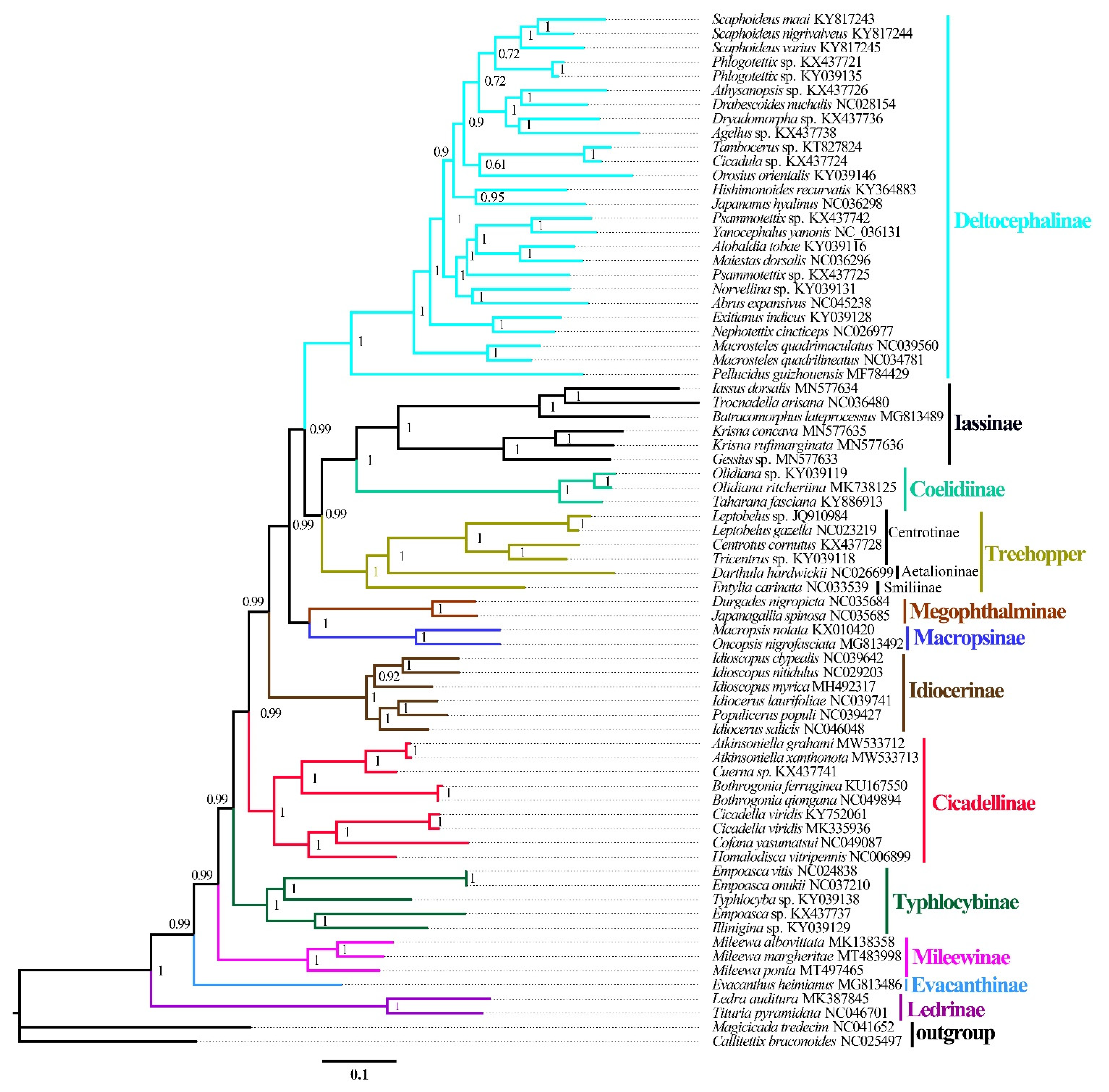 Insects 12 00338 g008 Insects 12 00338 g008