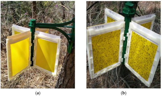 Modern Insect Pest Monitoring Using Automatic Traps - Alabama Cooperative  Extension System