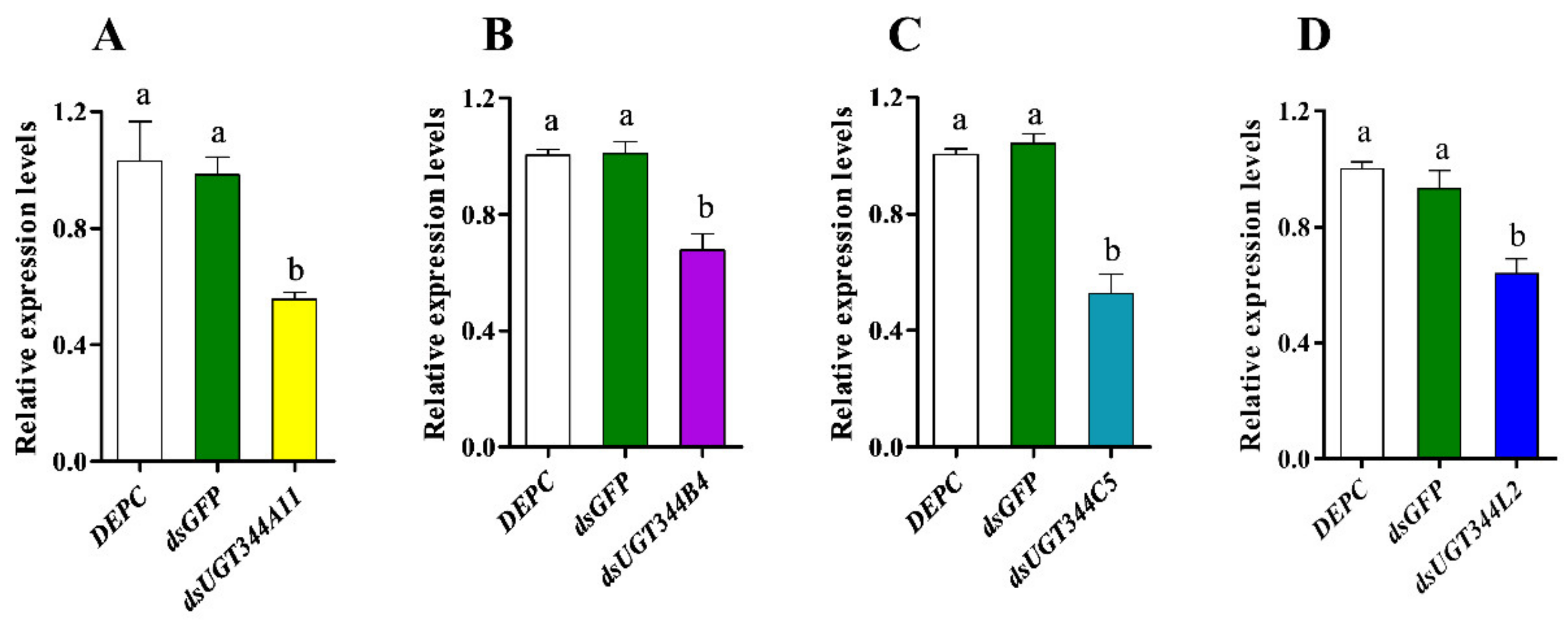 Insects 12 00356 g002