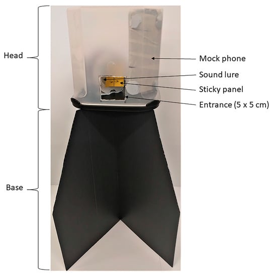 https://www.mdpi.com/insects/insects-12-00388/article_deploy/html/images/insects-12-00388-g001-550.jpg