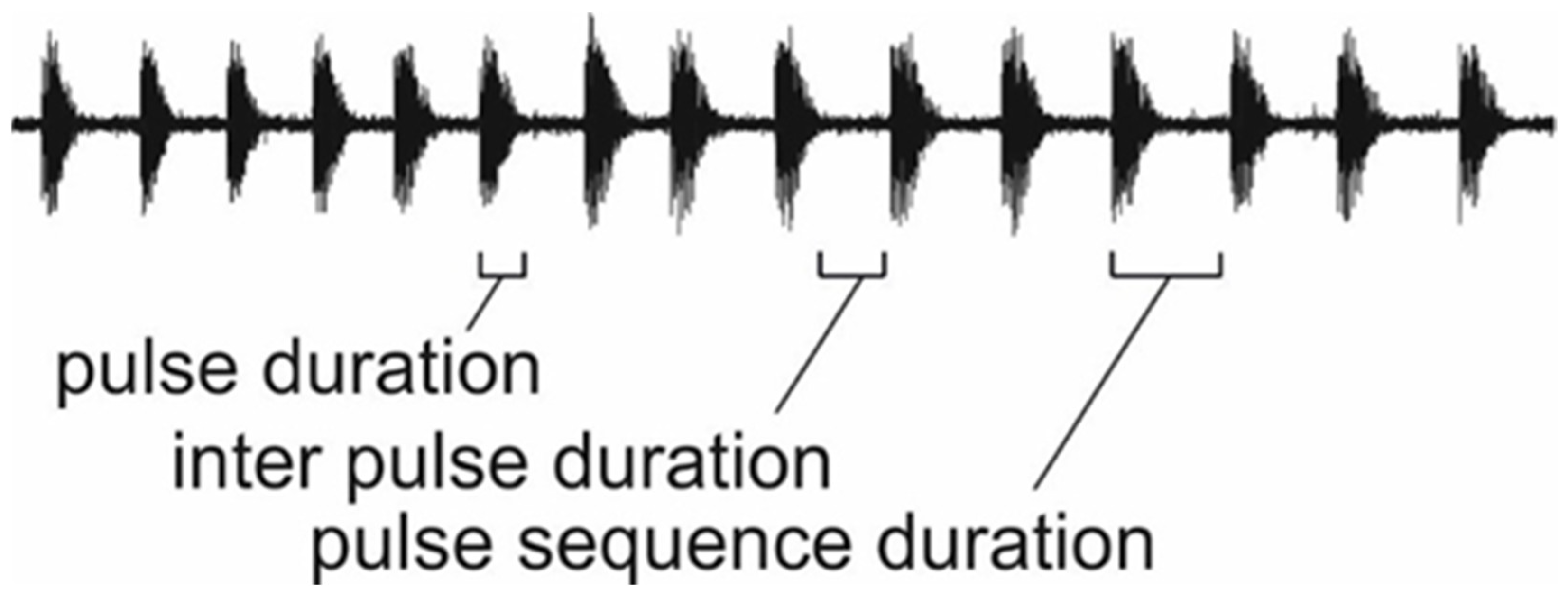 Insects 12 00395 g001