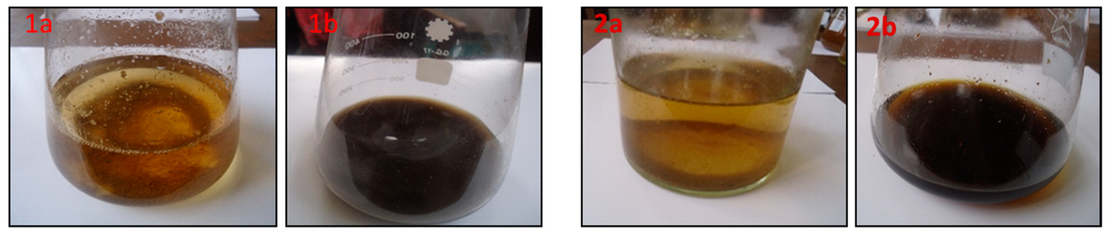 Insects 12 00405 g002