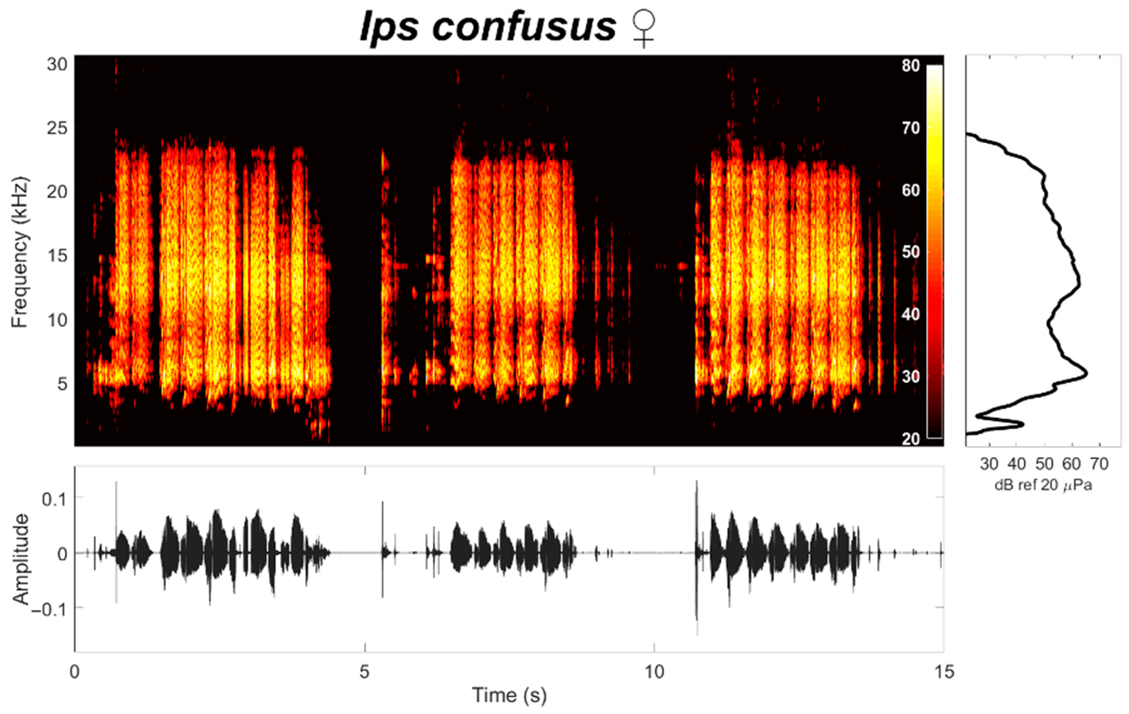 Insects 12 00496 g003