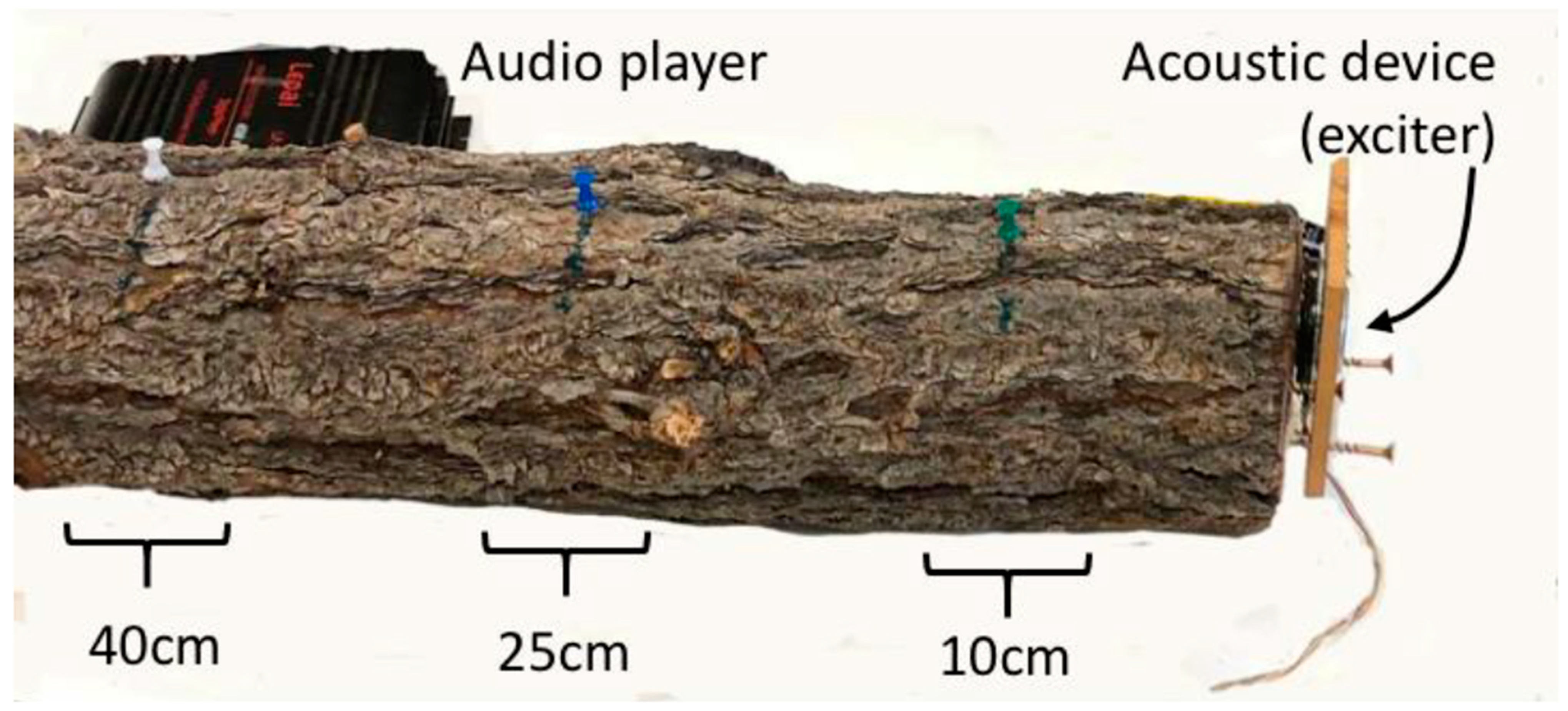 Insects 12 00496 g004
