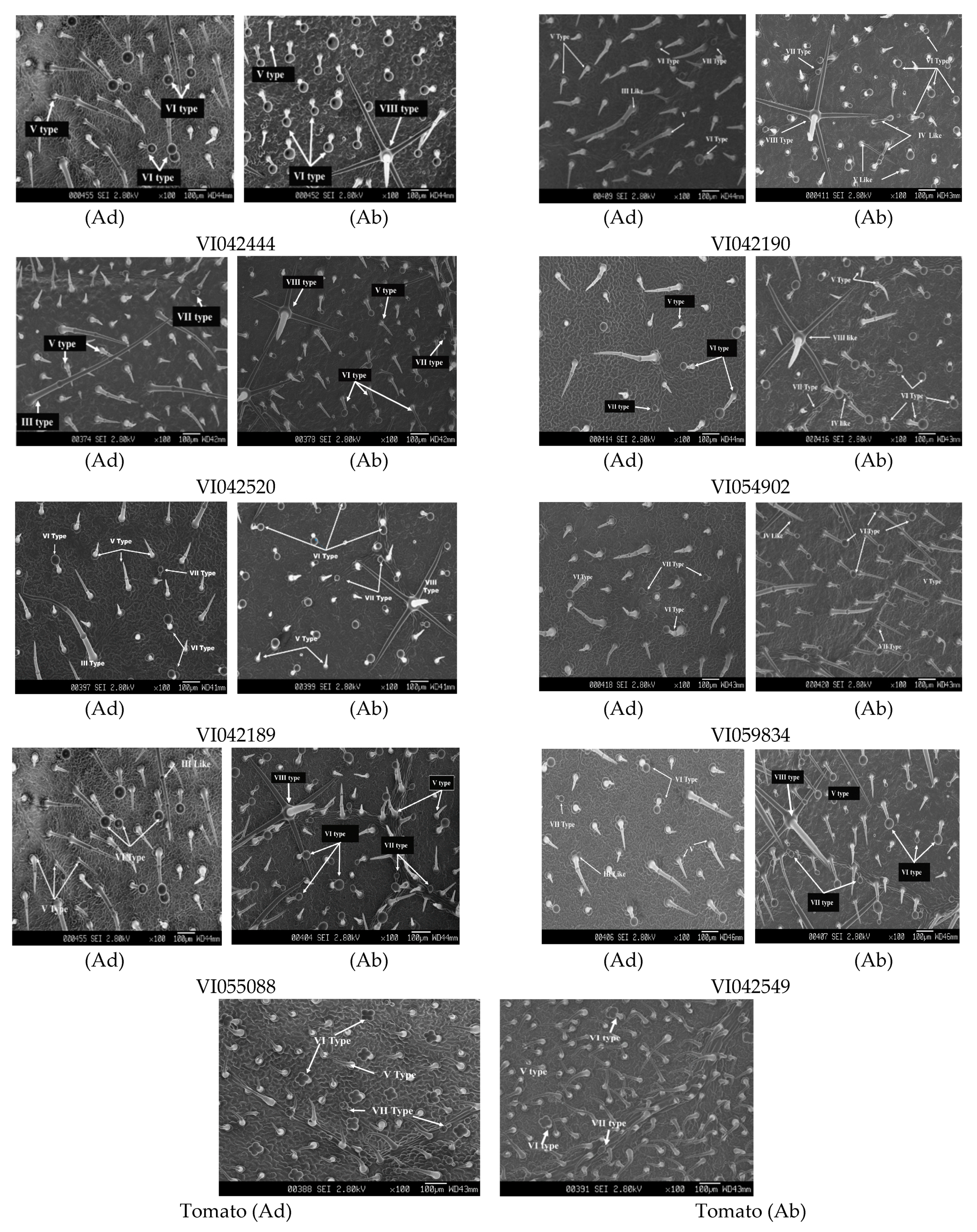 Insects 12 00506 g004