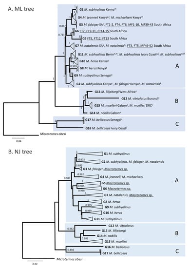 Insects | Free Full-Text | Overview Of The Genetic Diversity Of African ...