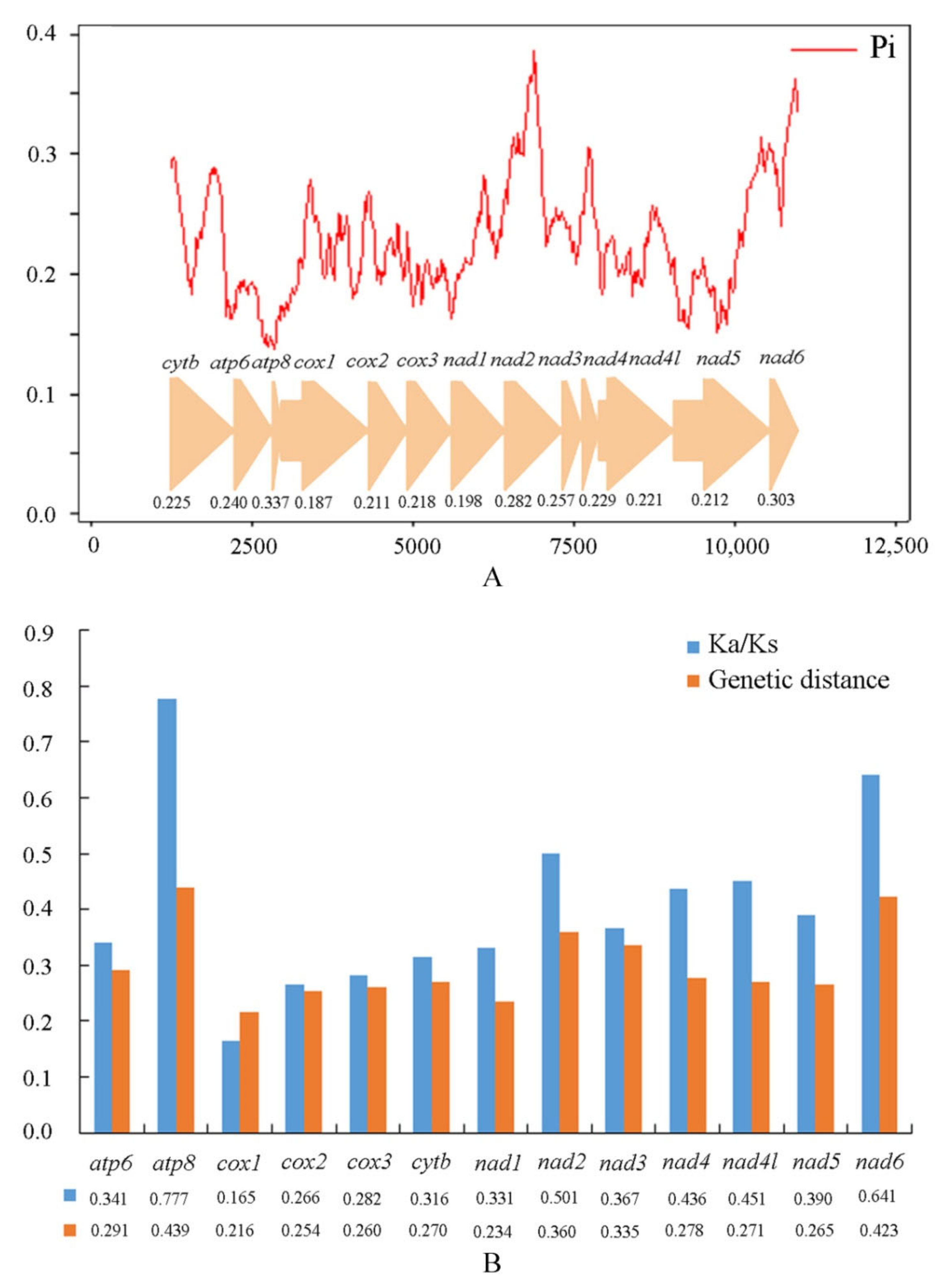 Insects 12 00570 g003