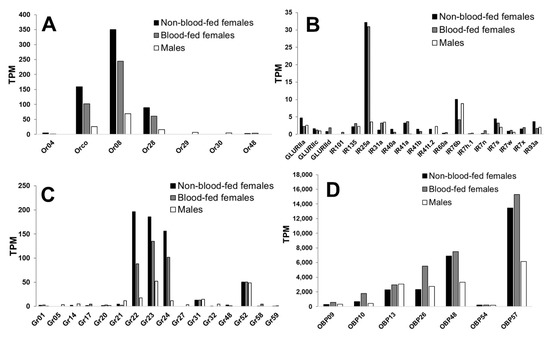 Insects Free Full Text Characterization Of Anopheles Stephensi Odorant Receptor 8 An 3975