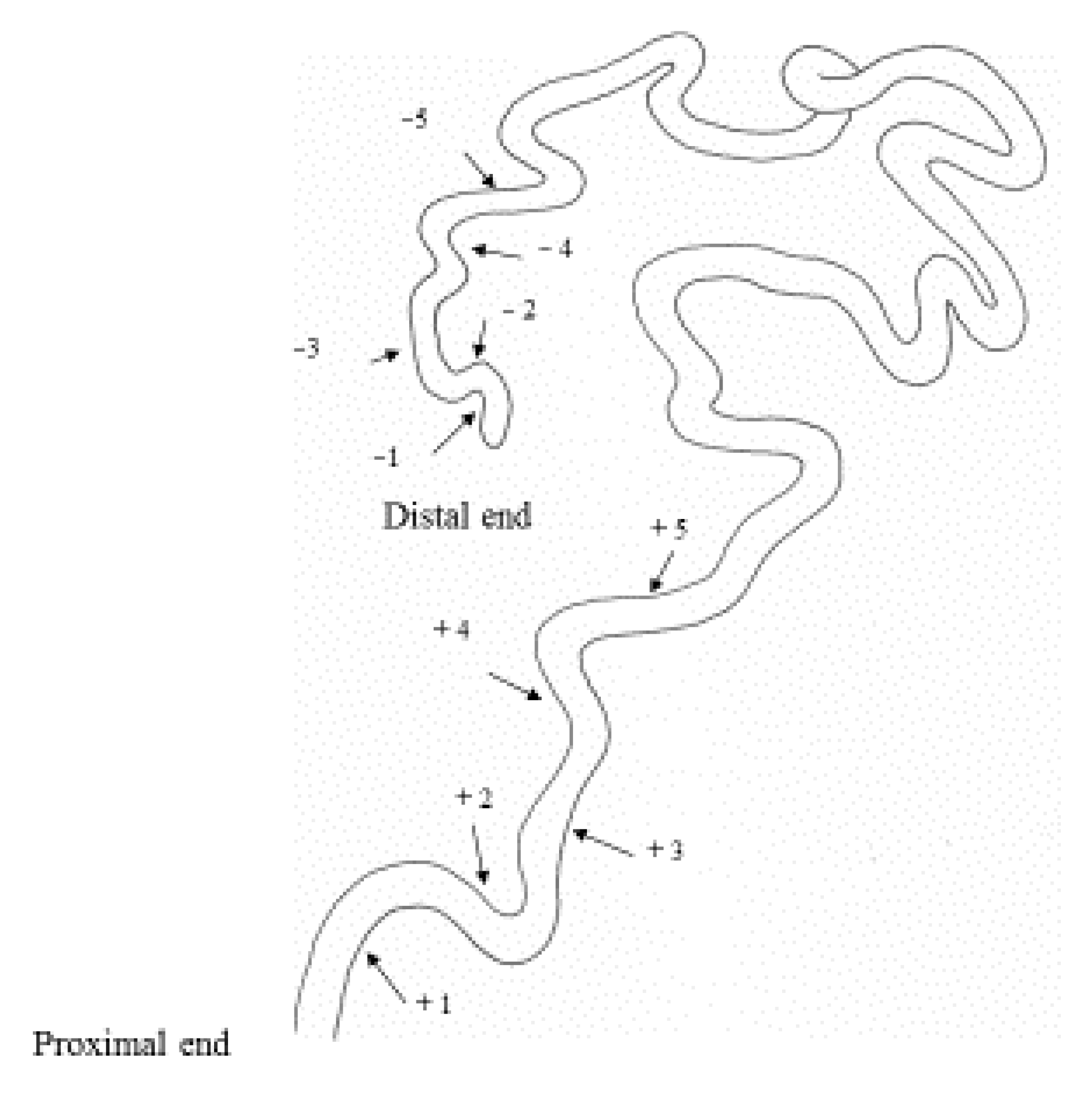 Insects 12 00642 g001 Insects 12 00642 g001