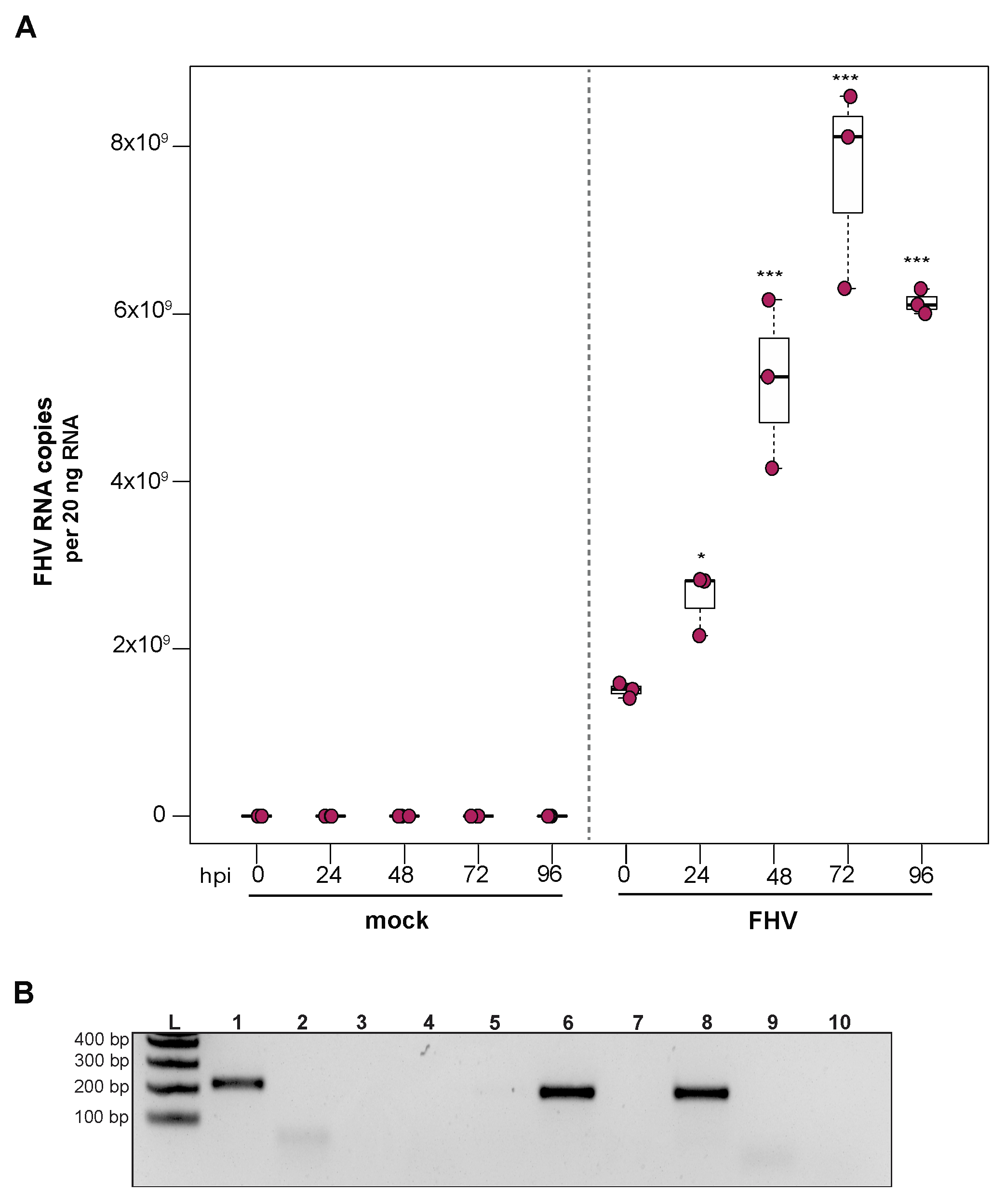 Insects 12 00653 g005