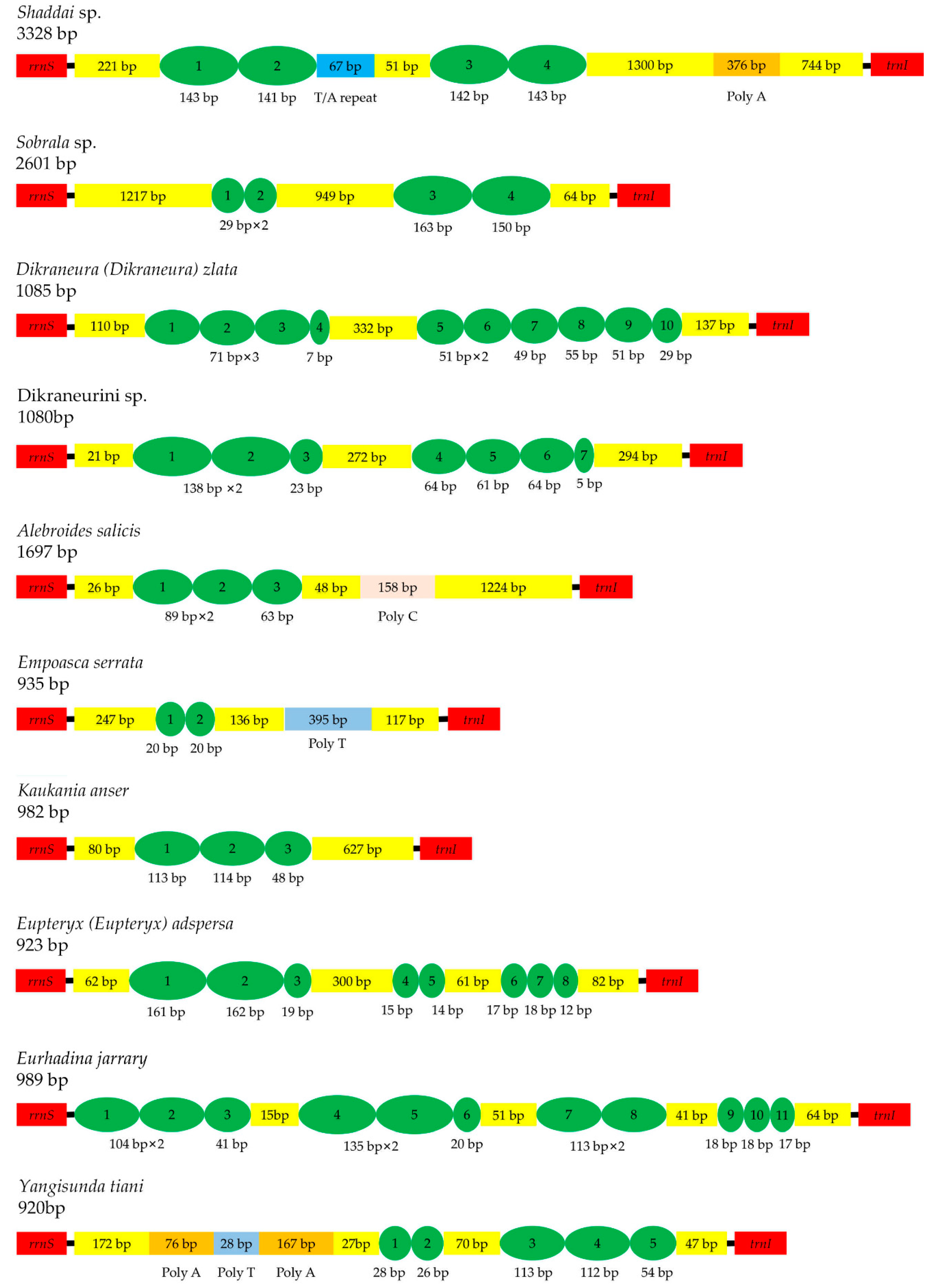 Insects 12 00678 g004