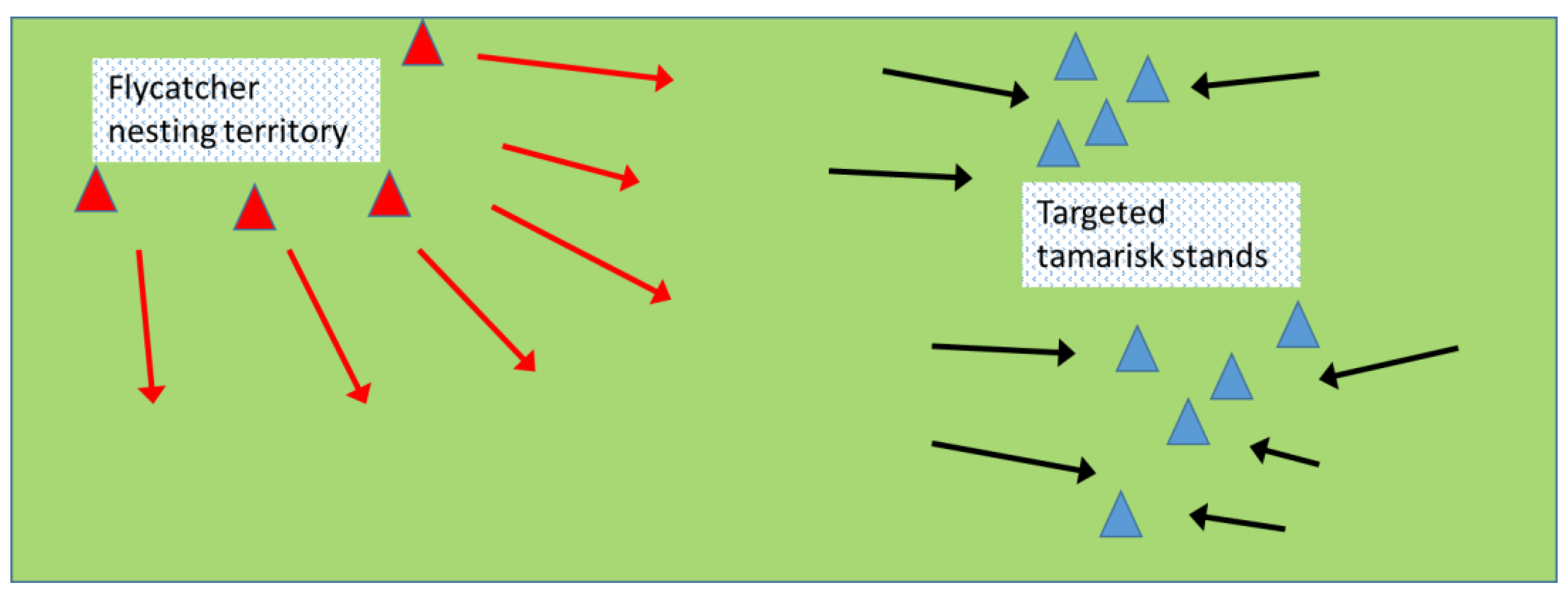 Insects 12 00695 g005