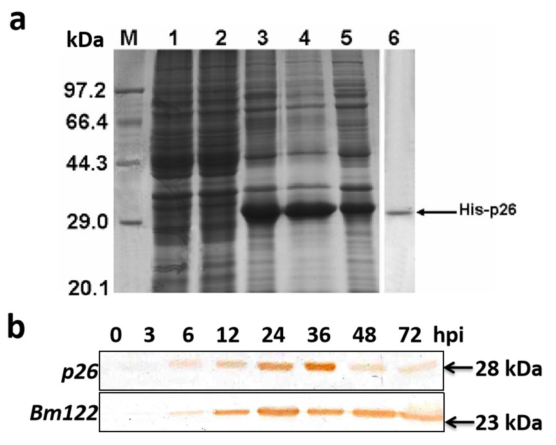 Insects 12 00707 g002 Insects 12 00707 g002