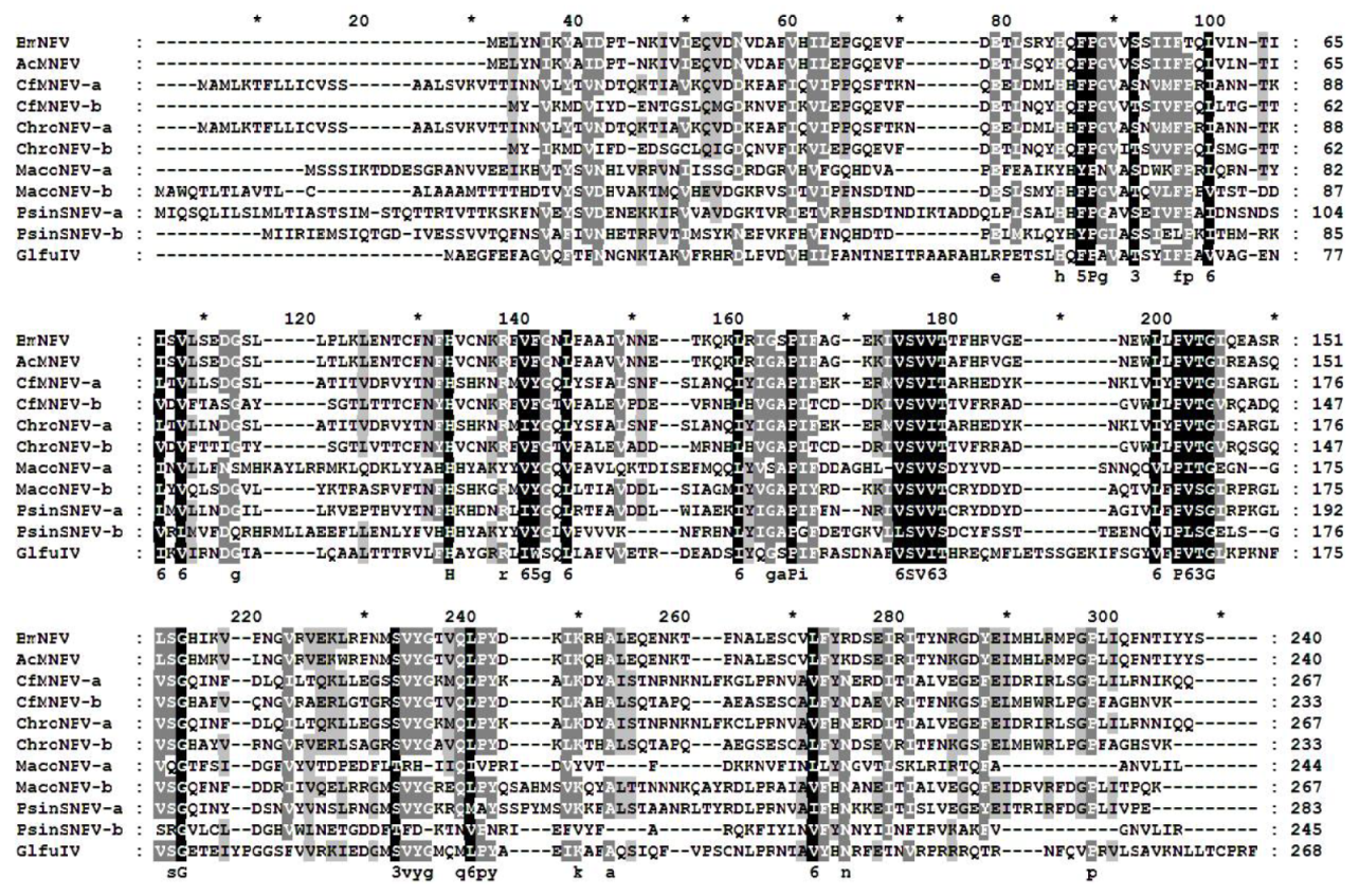 Insects 12 00707 g0a1 Insects 12 00707 g0a1