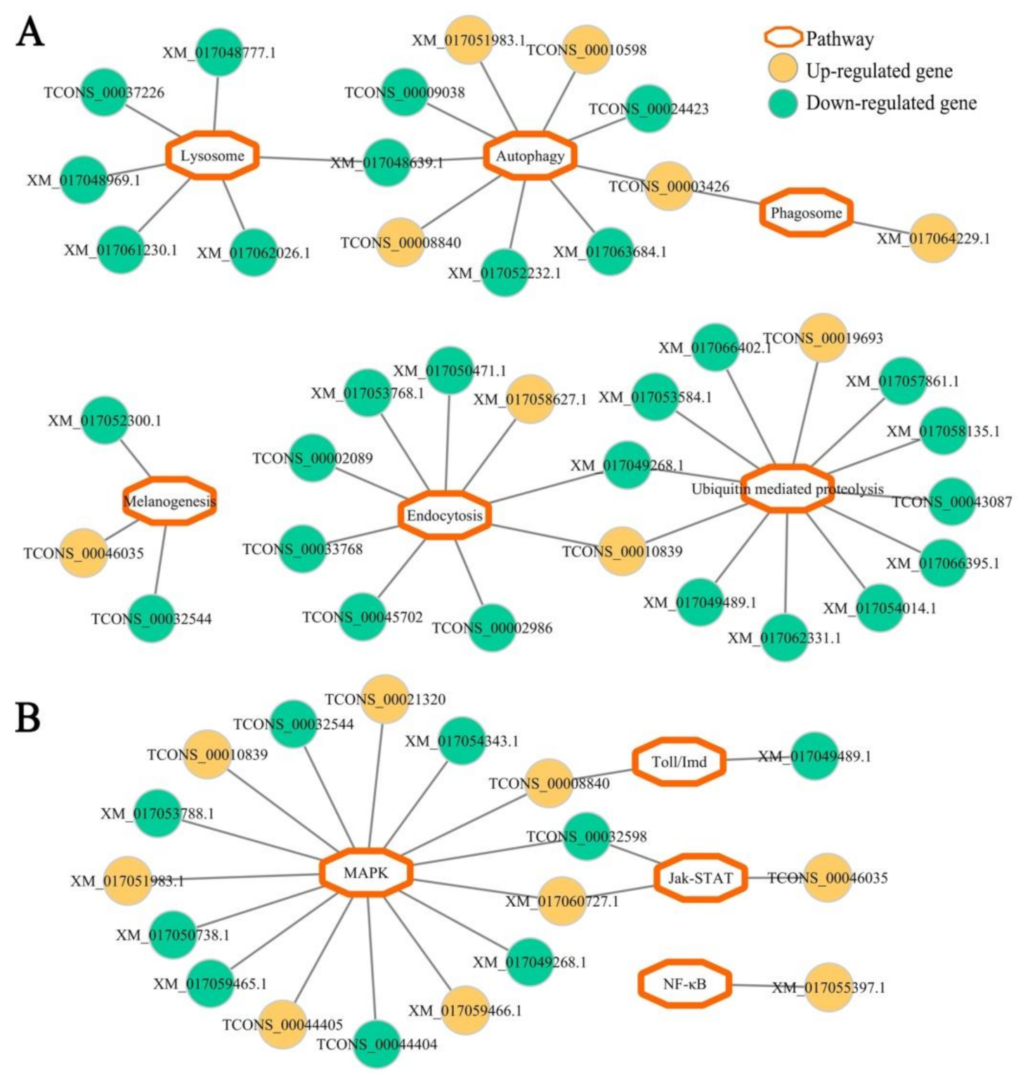 Insects 12 00728 g007