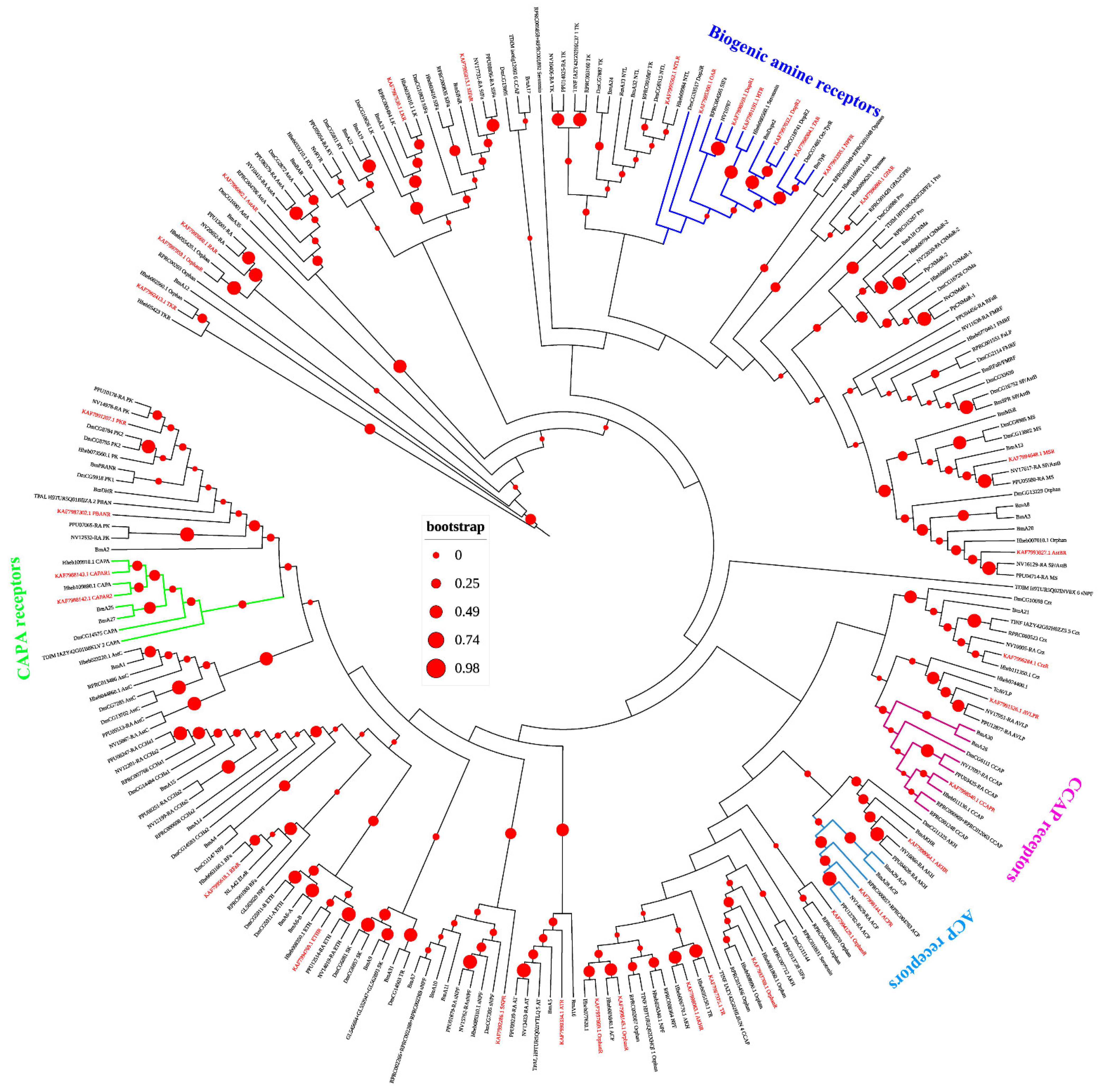 Insects 12 00745 g003
