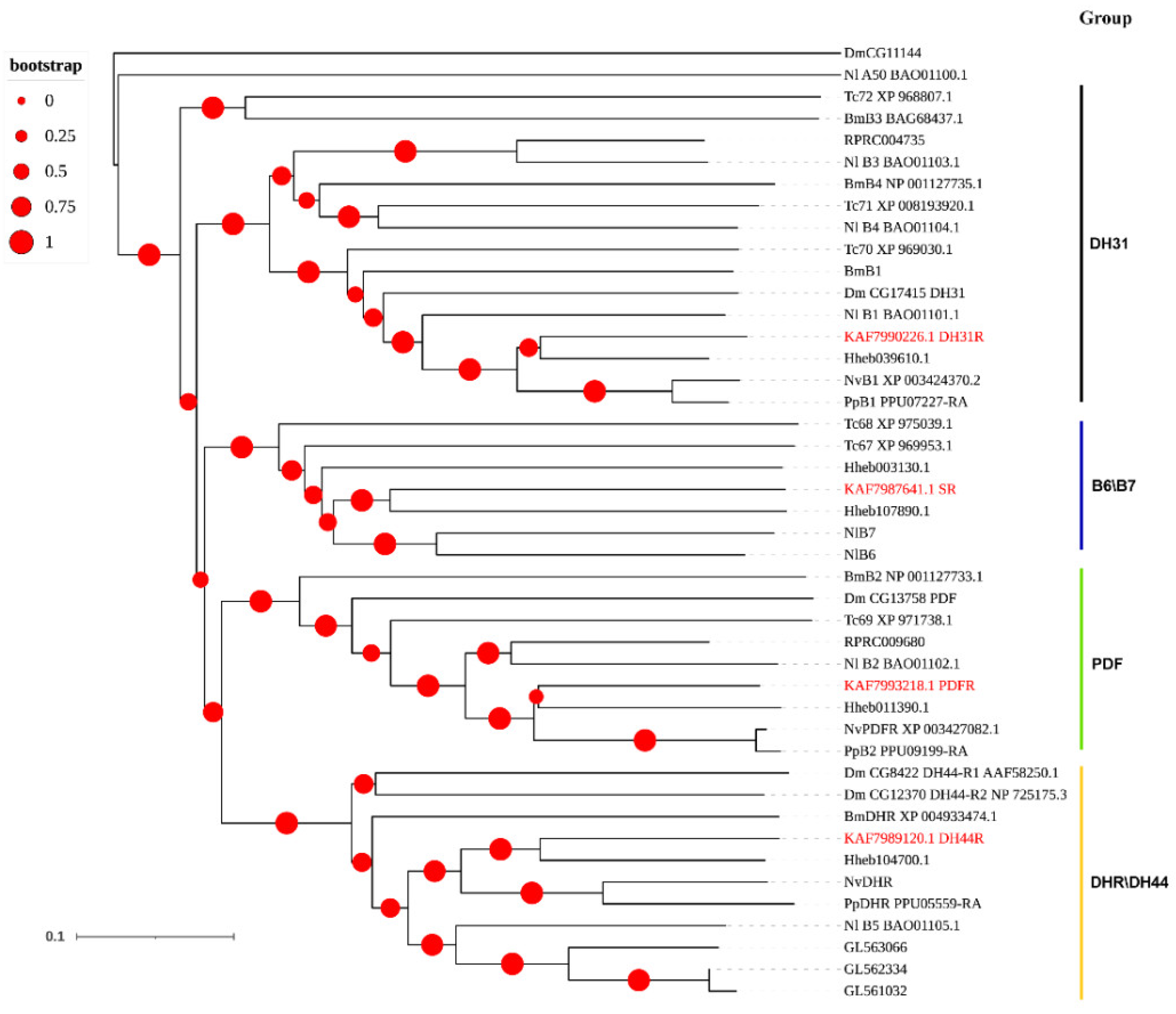 Insects 12 00745 g004