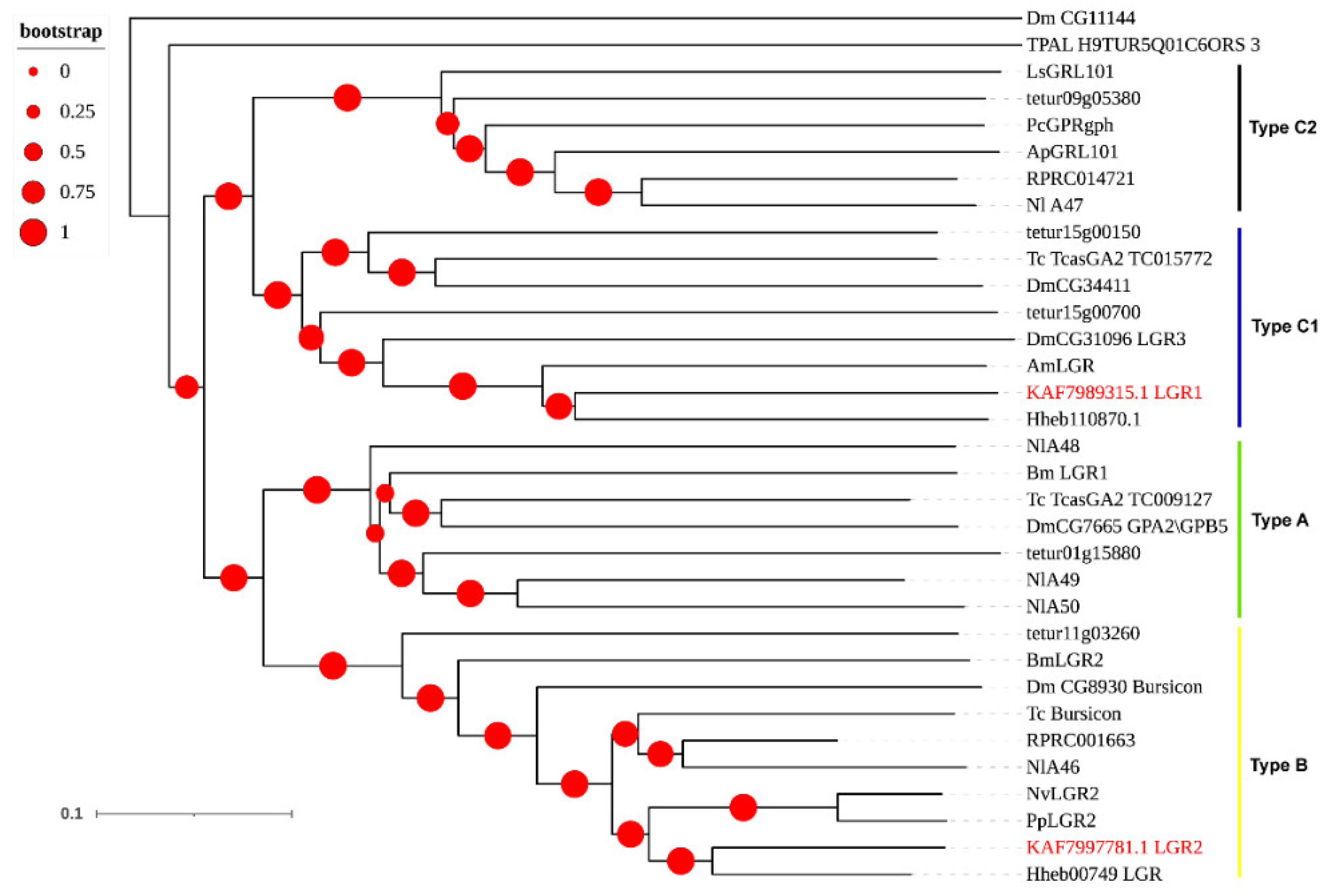 Insects 12 00745 g005